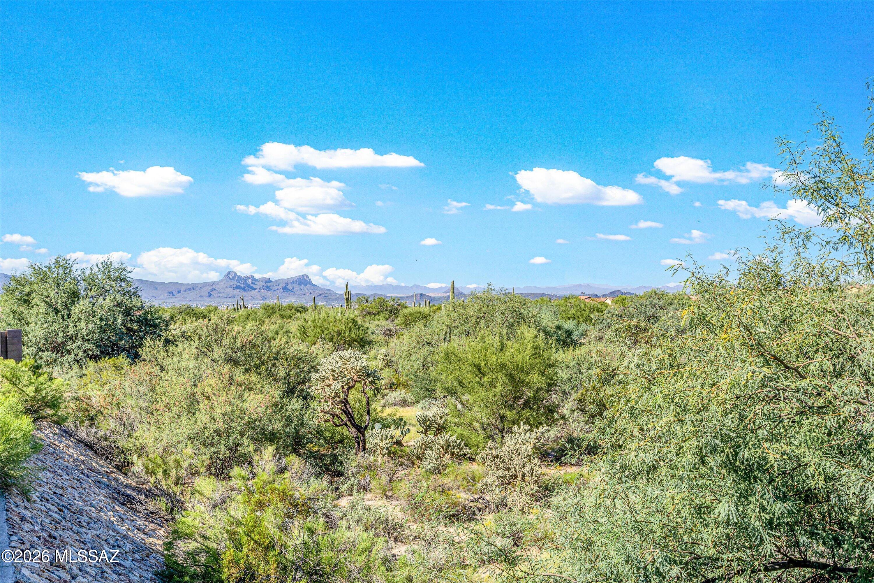 Preserve IV at Dove Mountain (487-529, 535-576, 606-650) - Residential