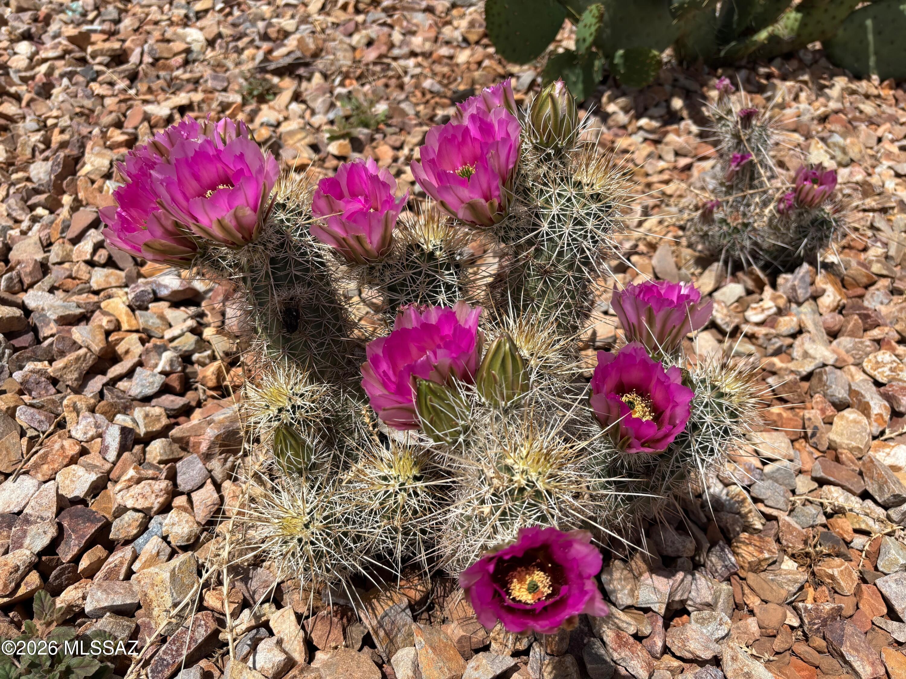 Arizona Sun Sites - Residential