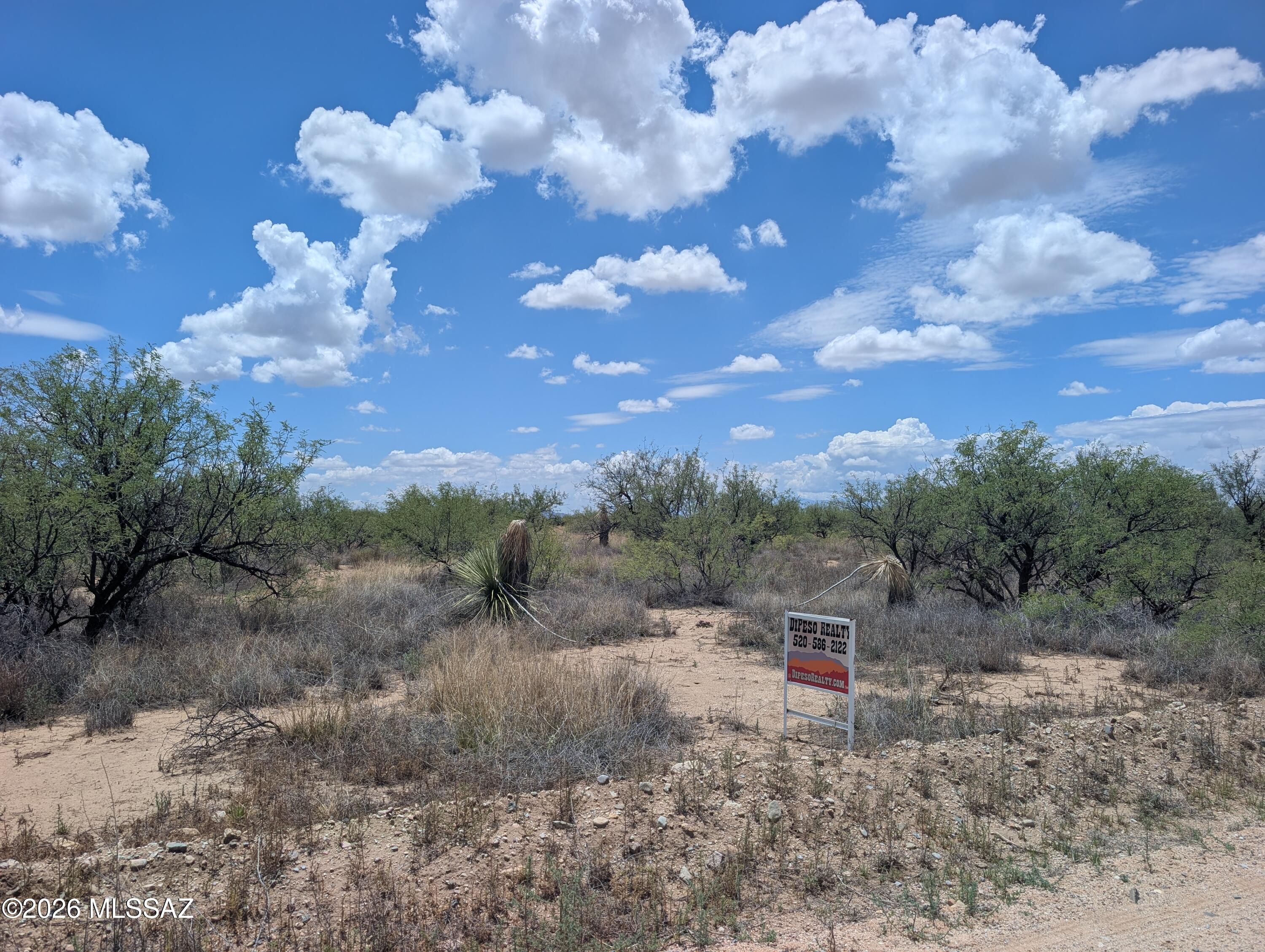 Dragoon Mountain Ranch - Land