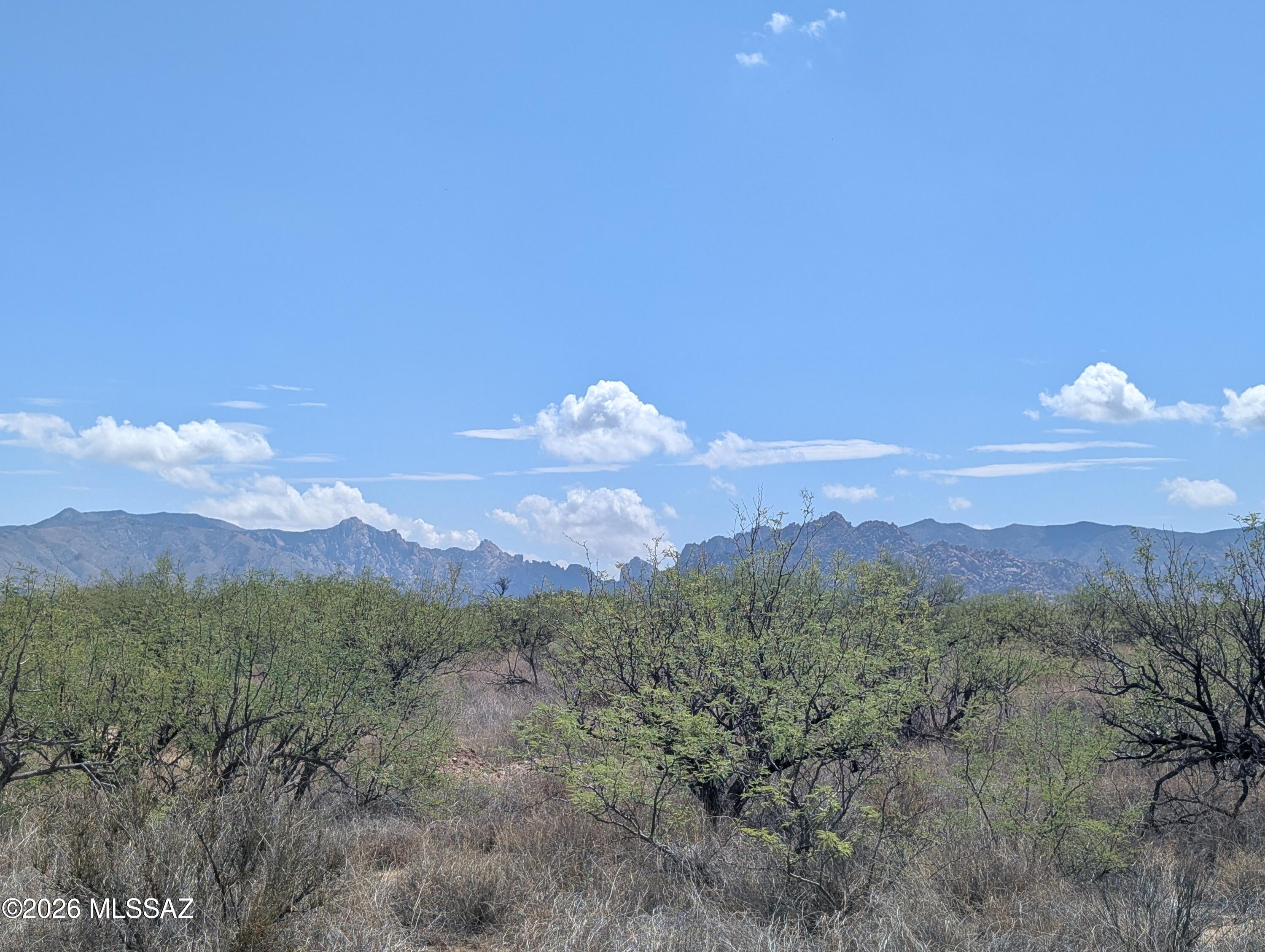 Dragoon Mountain Ranch - Land