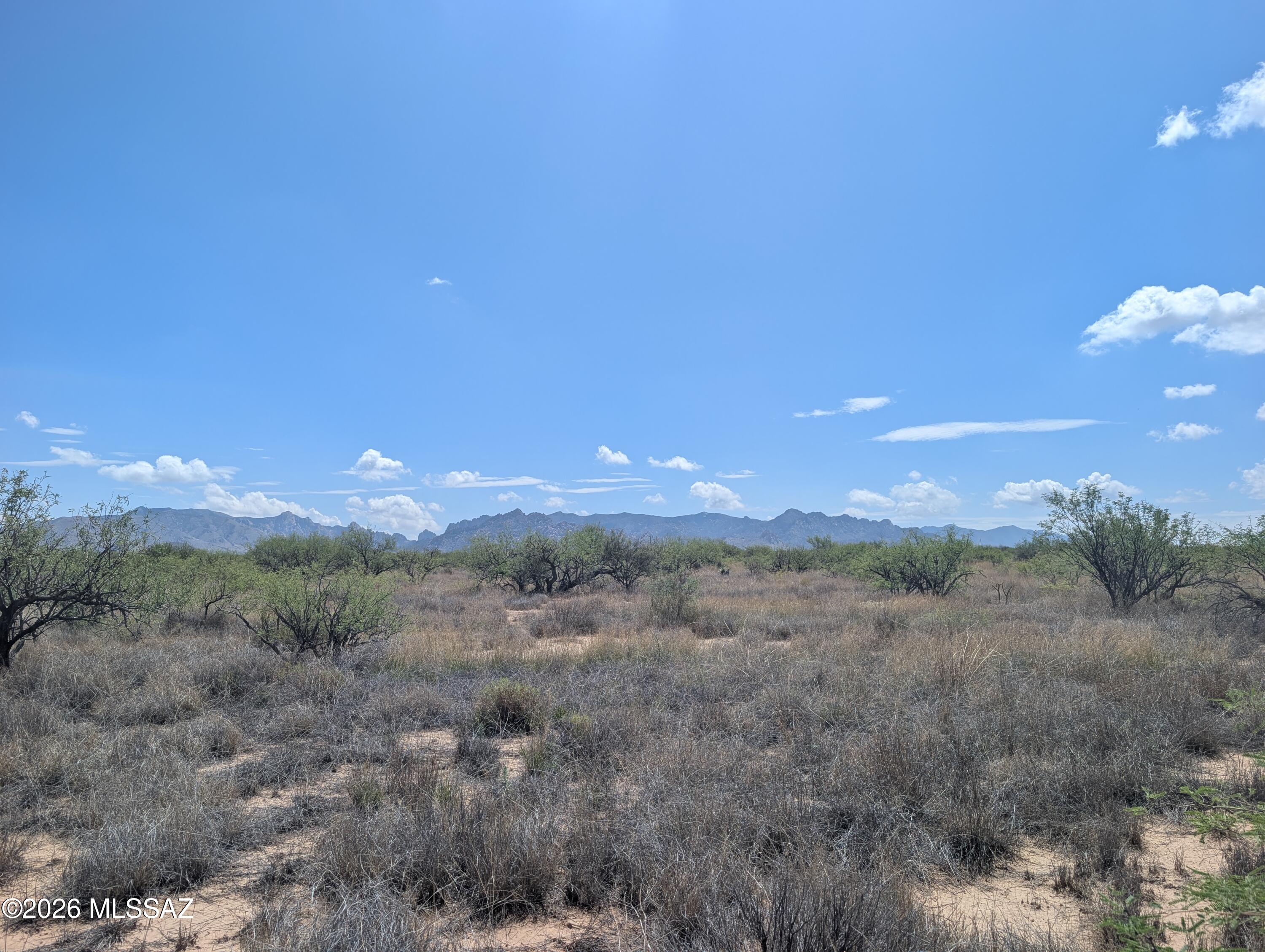 Dragoon Mountain Ranch - Land