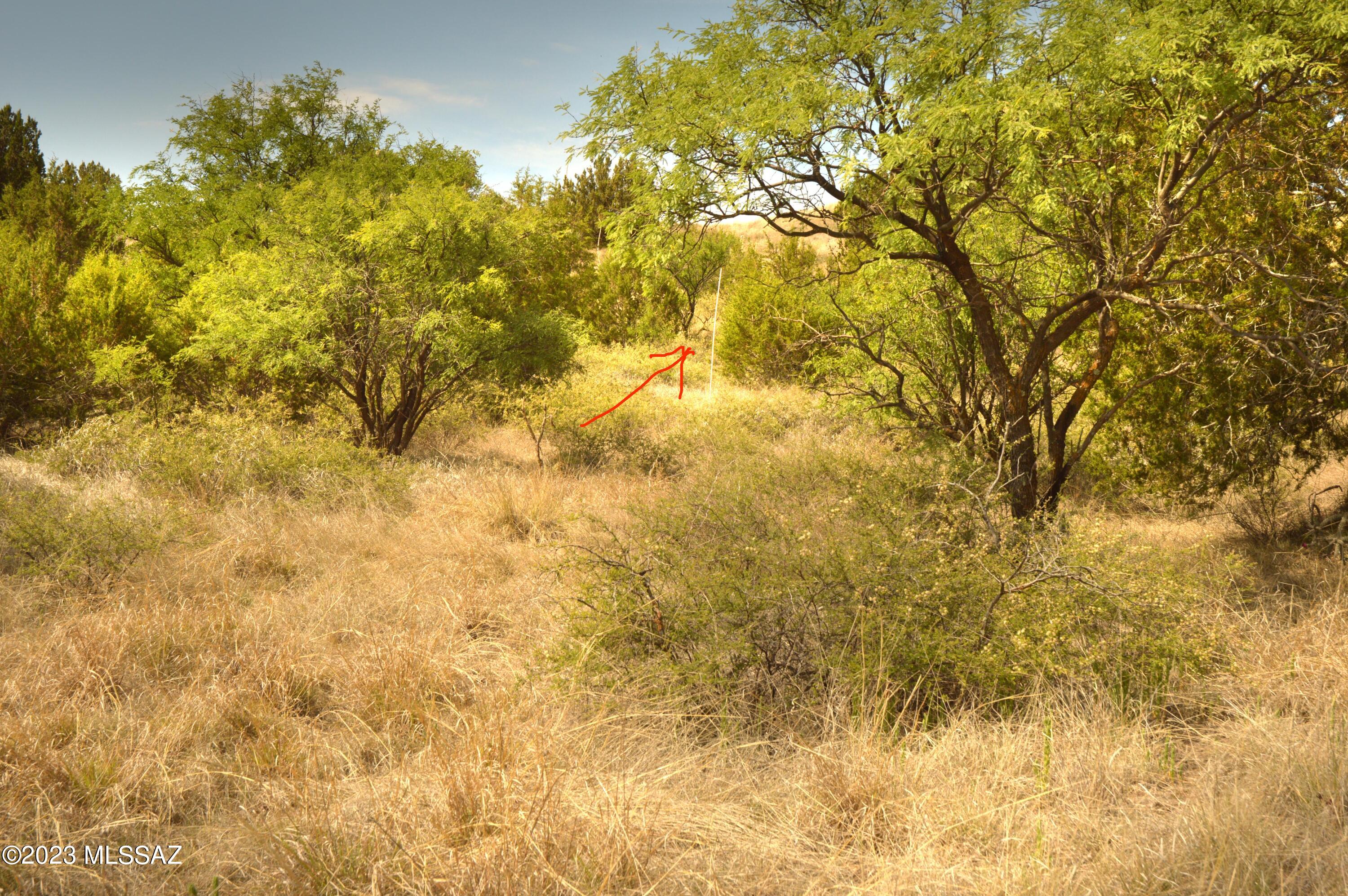 WILDLIFE HAVEN is an environmentally thoughtful development in the heart of Southern Arizona's Sky Islands. Recognized by the National Association of Counties for best practices in sustainable projects and programs, Wildlife Haven was designed to protect the land and wildlife while providing an exceptional community lifestyle for its residents. Each parcel has a predetermined building location/pad that is cushioned within a conservation easement, the land will continue to sustain the natural wildlife corridor and migratory bird pathway. If you are longing for tranquility, moderate temperatures, nearby recreational activities, and star-filled night skies, you will appreciate this special development. Owner will consider Seller Carryback.