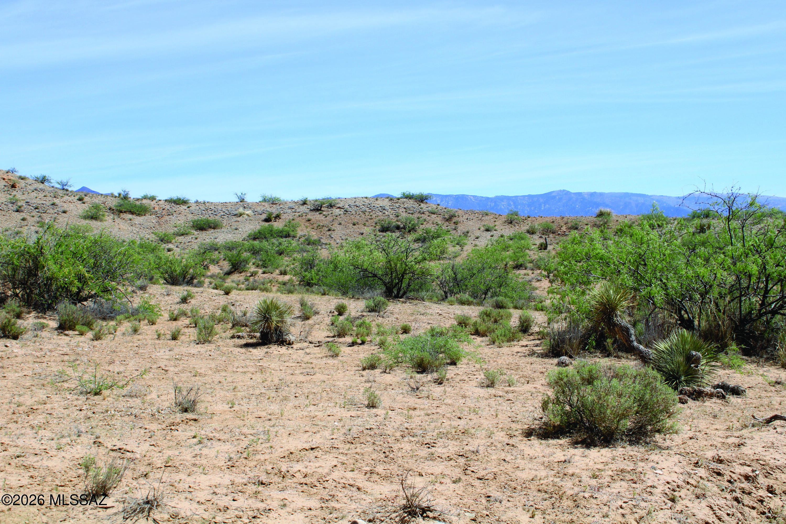 Beautiful remote property with easy access off of county-maintained Bonita Klondyke Rd. with more than 11 acres you can spread out and enjoy life. Easy drive to Willcox or Safford for all your shopping need. Sit back and enjoy the sunrise and sunset from your own piece of paradise. Sell financing a possibility. Don't miss out