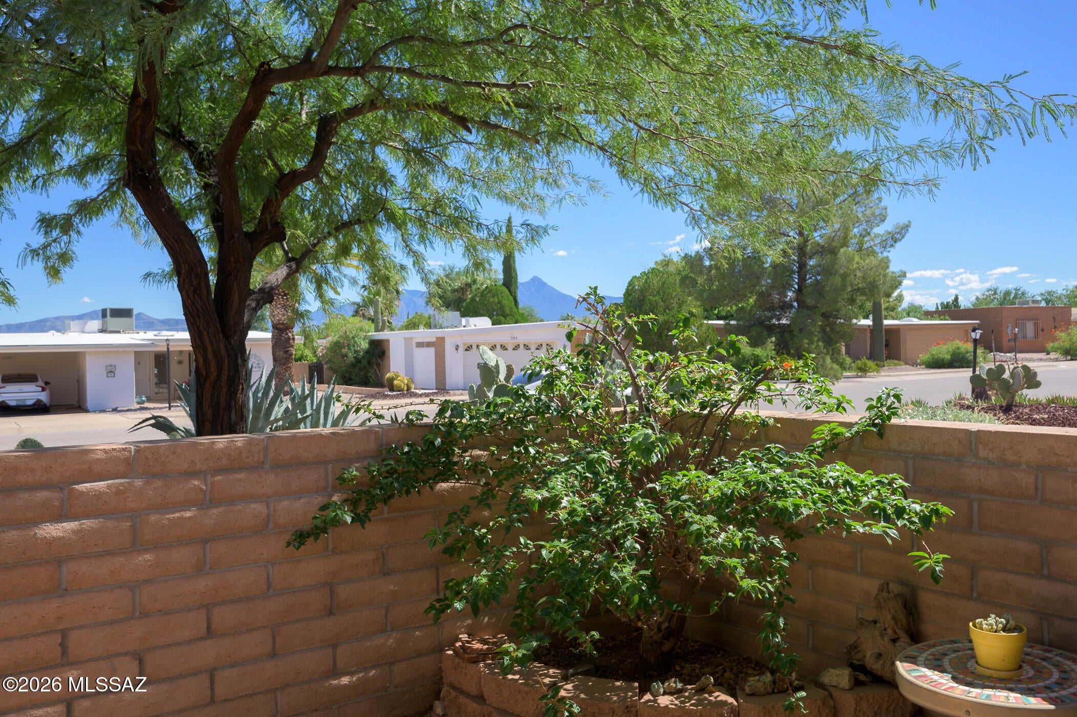 Colonia De Los Alamos - Villages - Residential