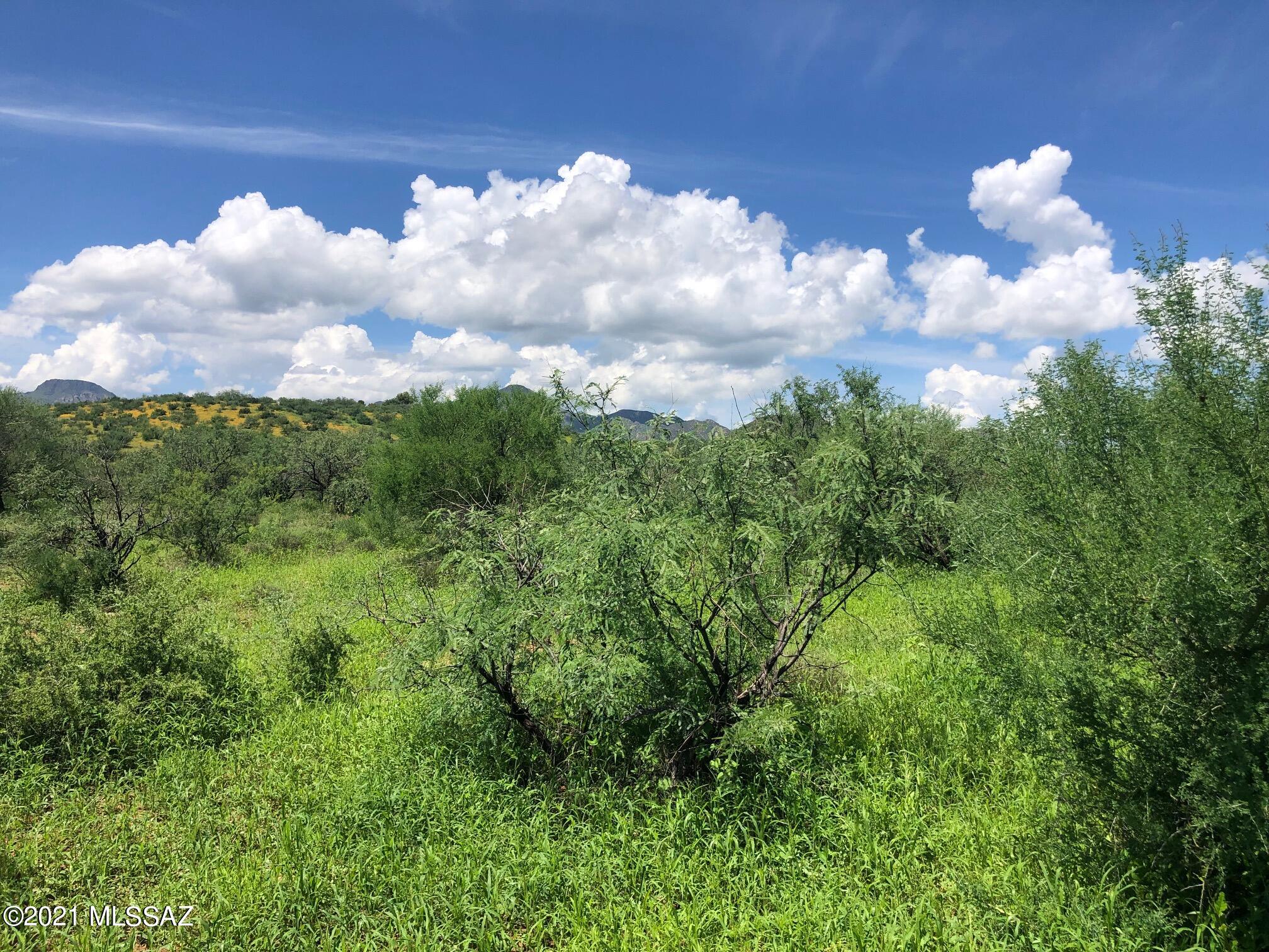 Unsubdivided - Land