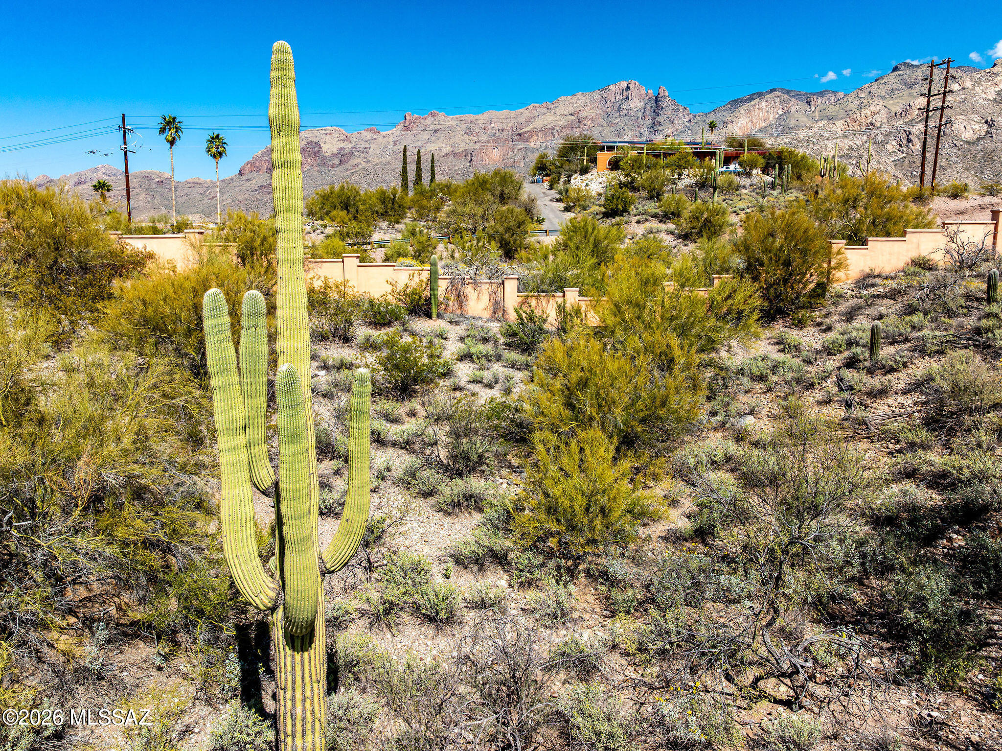 La Paloma Ridge Estates I (1-69) - Land