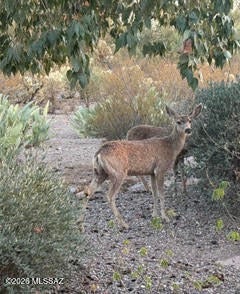 Tucson Foothills Estates NO. 2 - Residential Lease