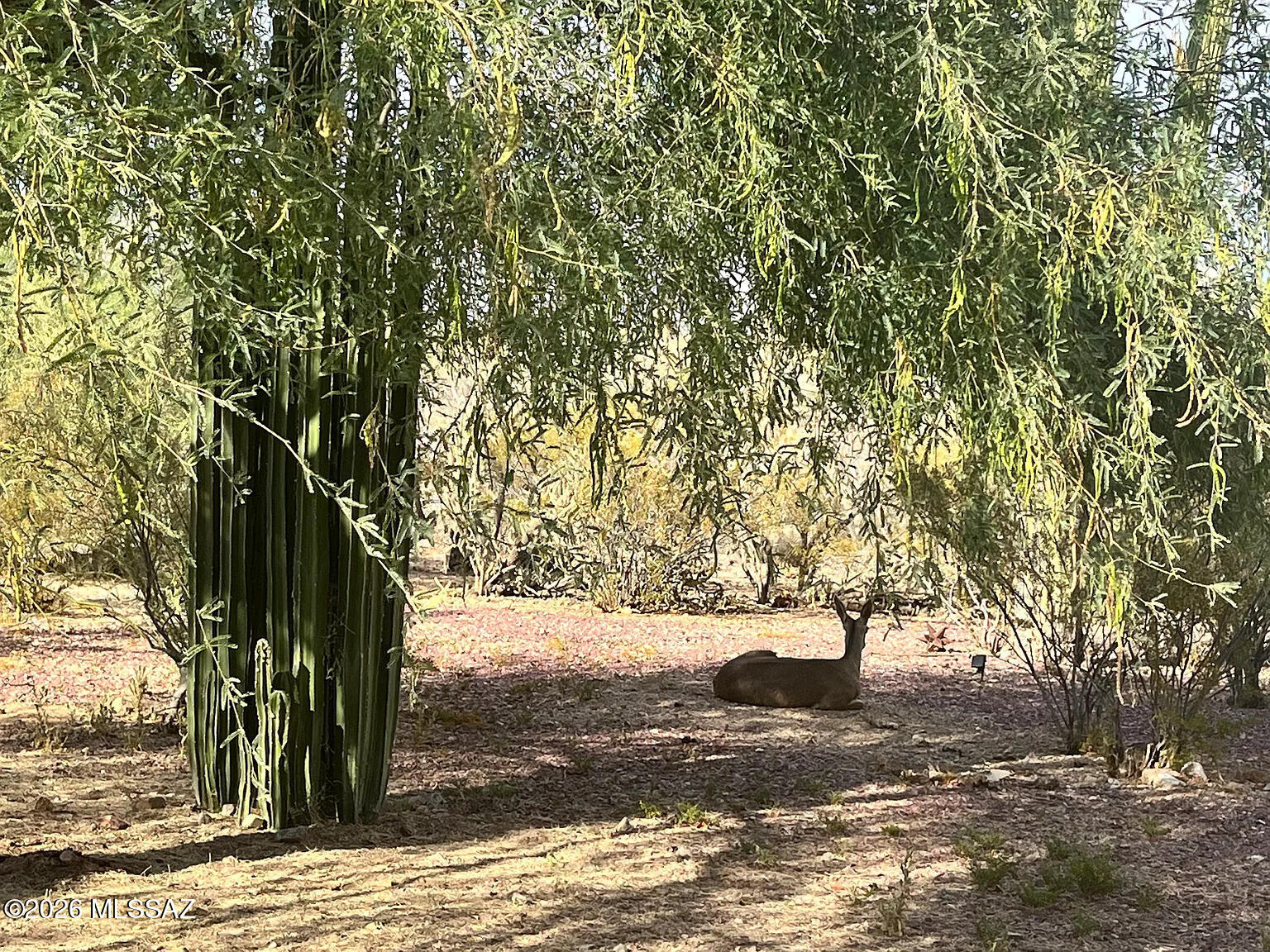Tucson Foothills Estates NO. 2 - Residential Lease