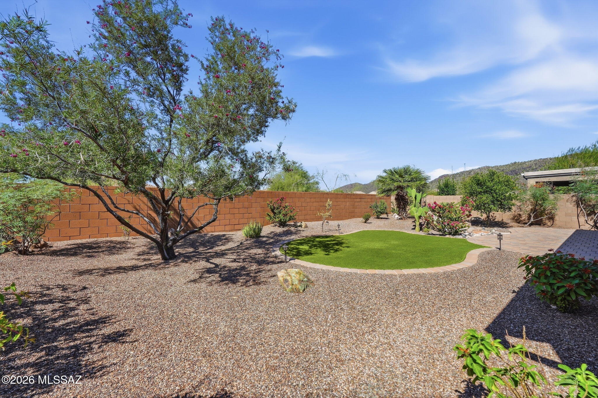 Saguaro Bloom - Residential