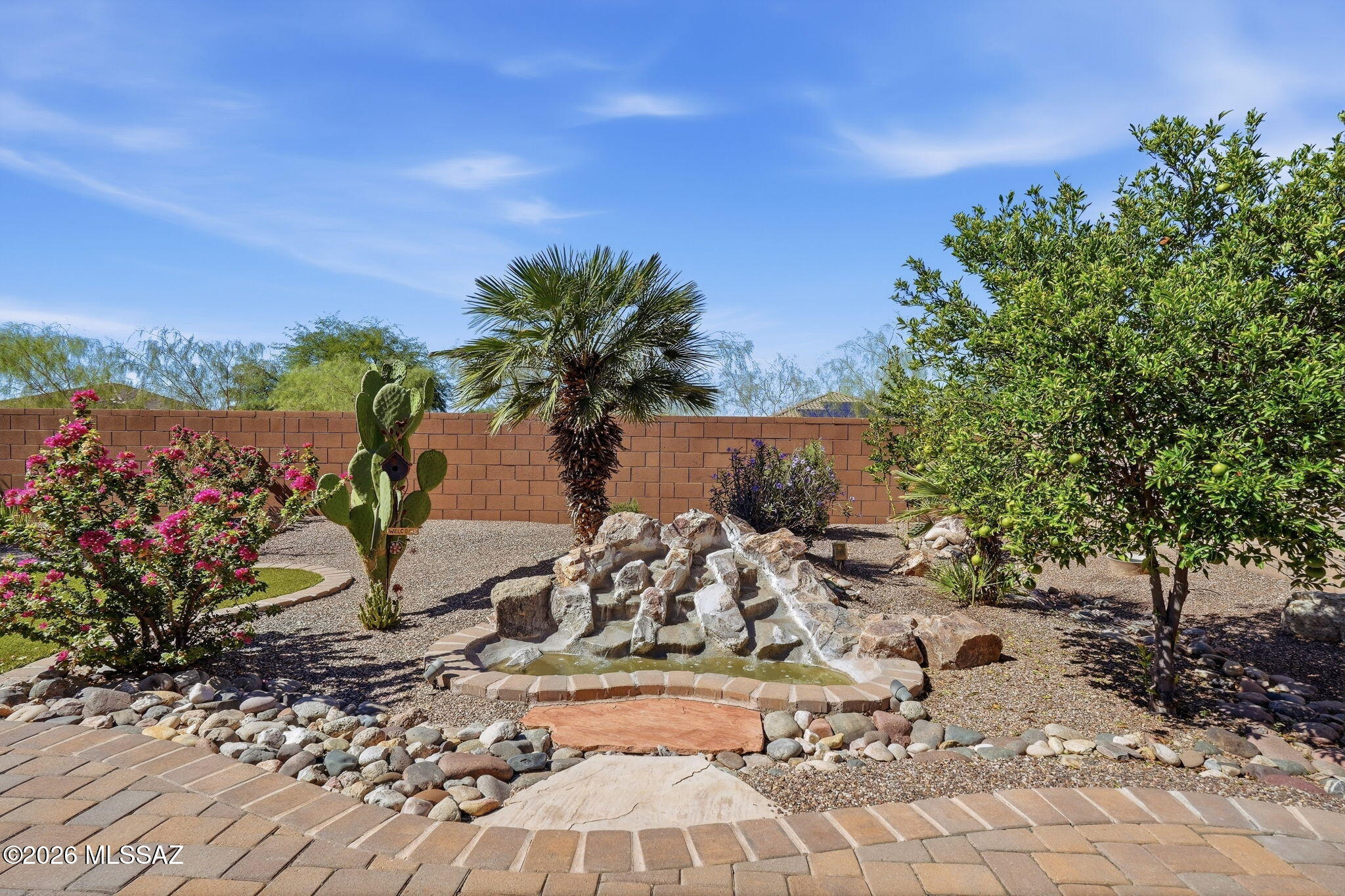 Saguaro Bloom - Residential