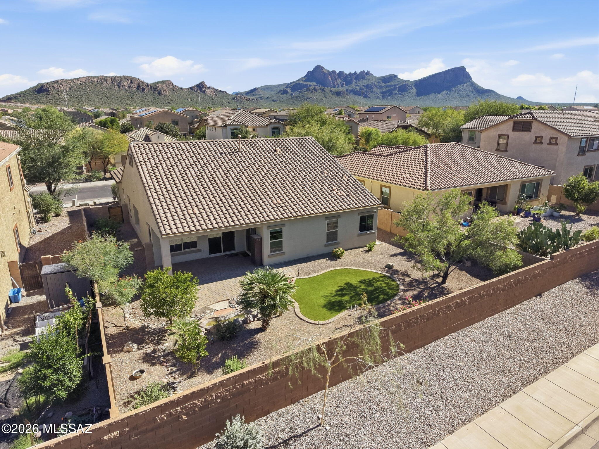 Saguaro Bloom - Residential