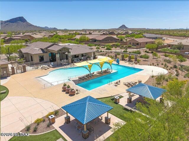 Saguaro Bloom - Residential