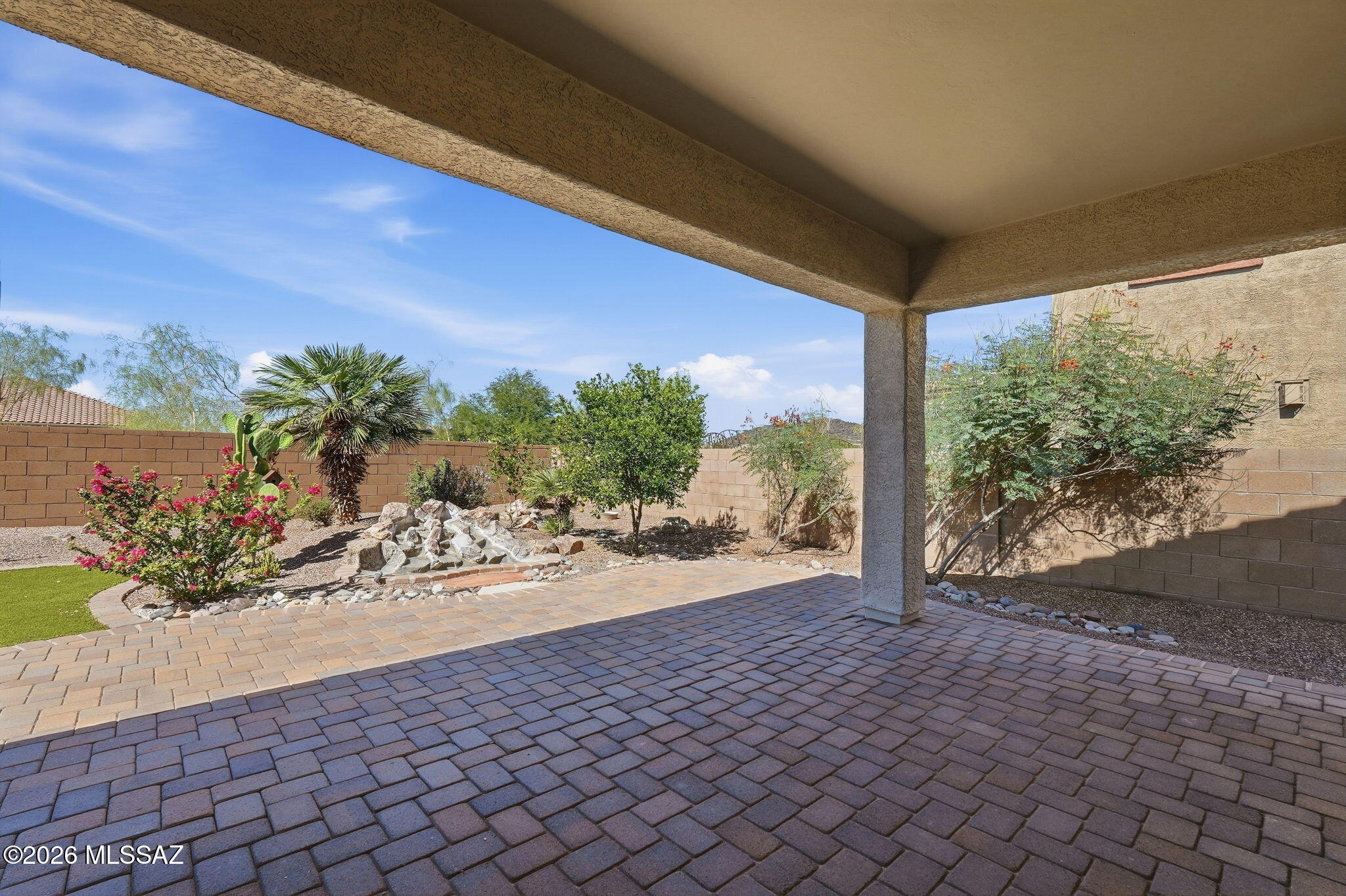 Saguaro Bloom - Residential