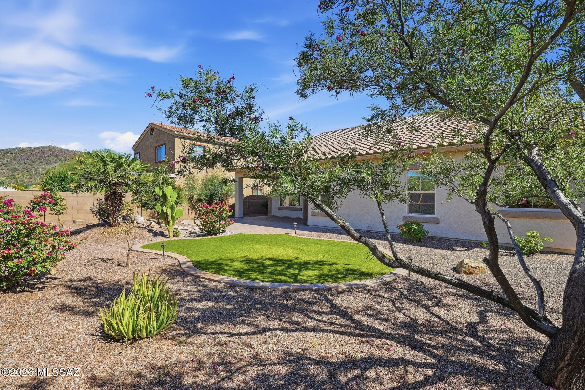 Saguaro Bloom - Residential
