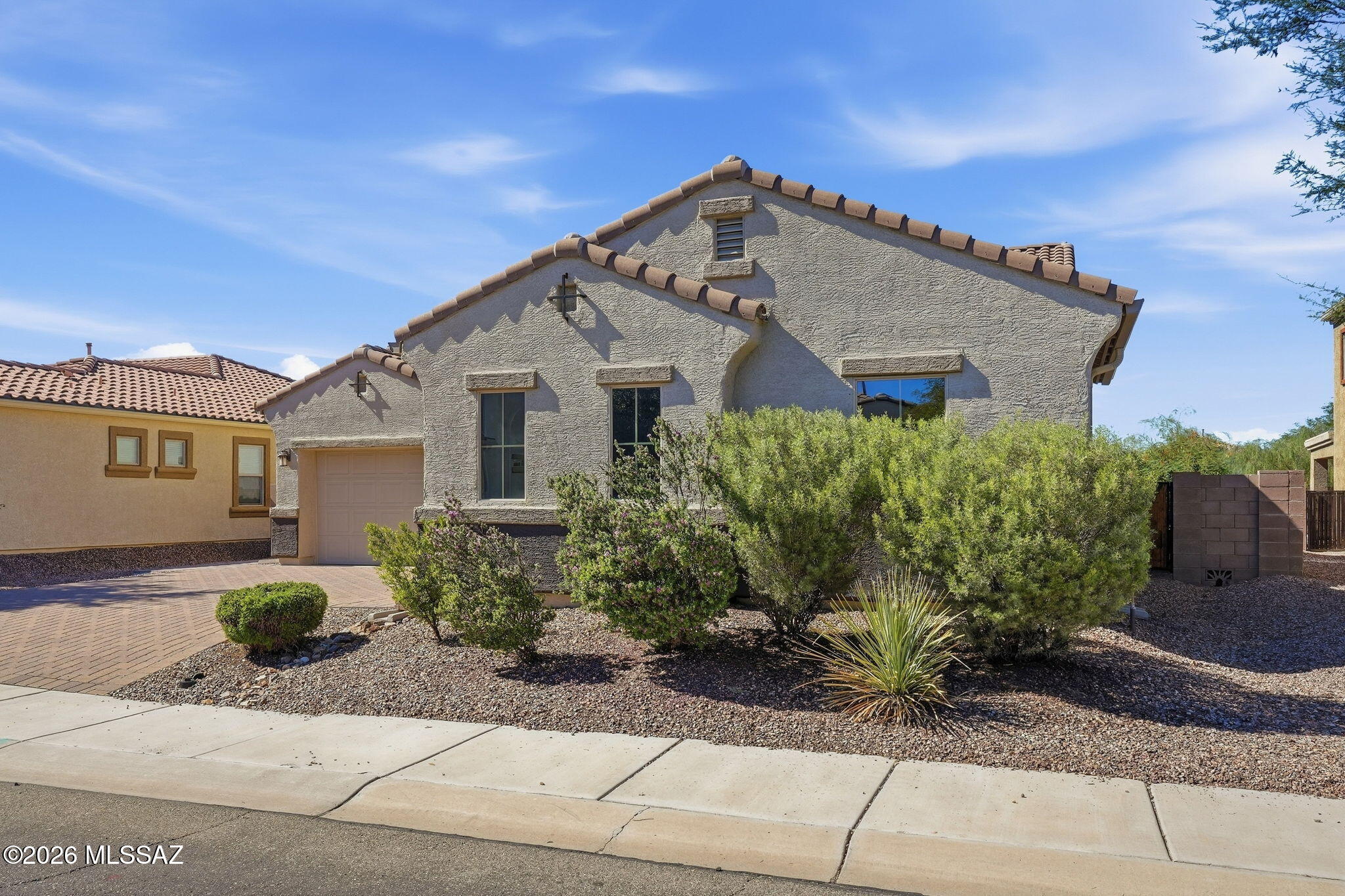 Saguaro Bloom - Residential