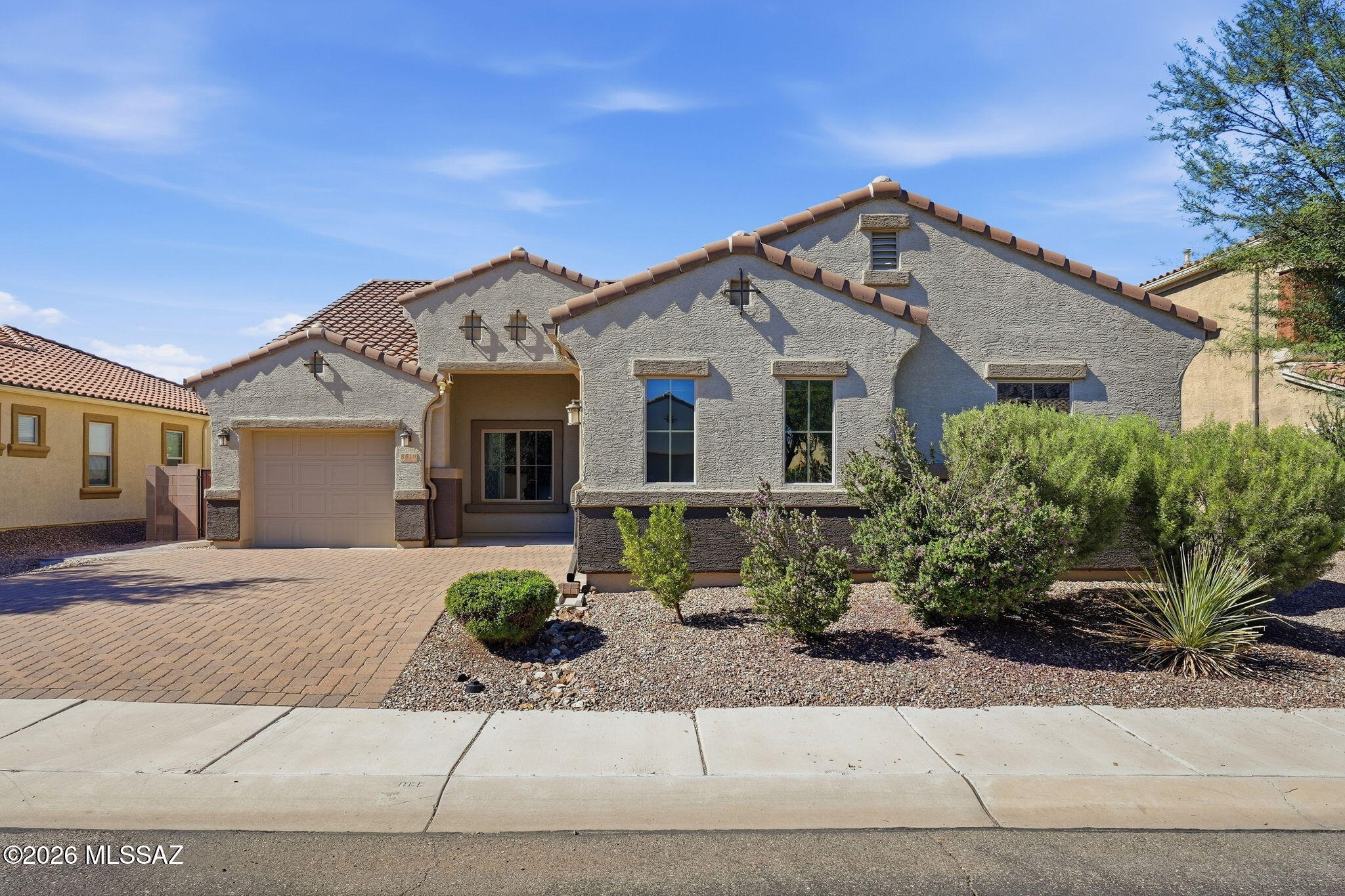 Saguaro Bloom - Residential
