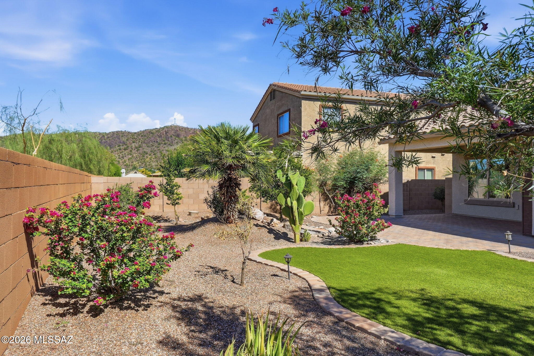 Saguaro Bloom - Residential