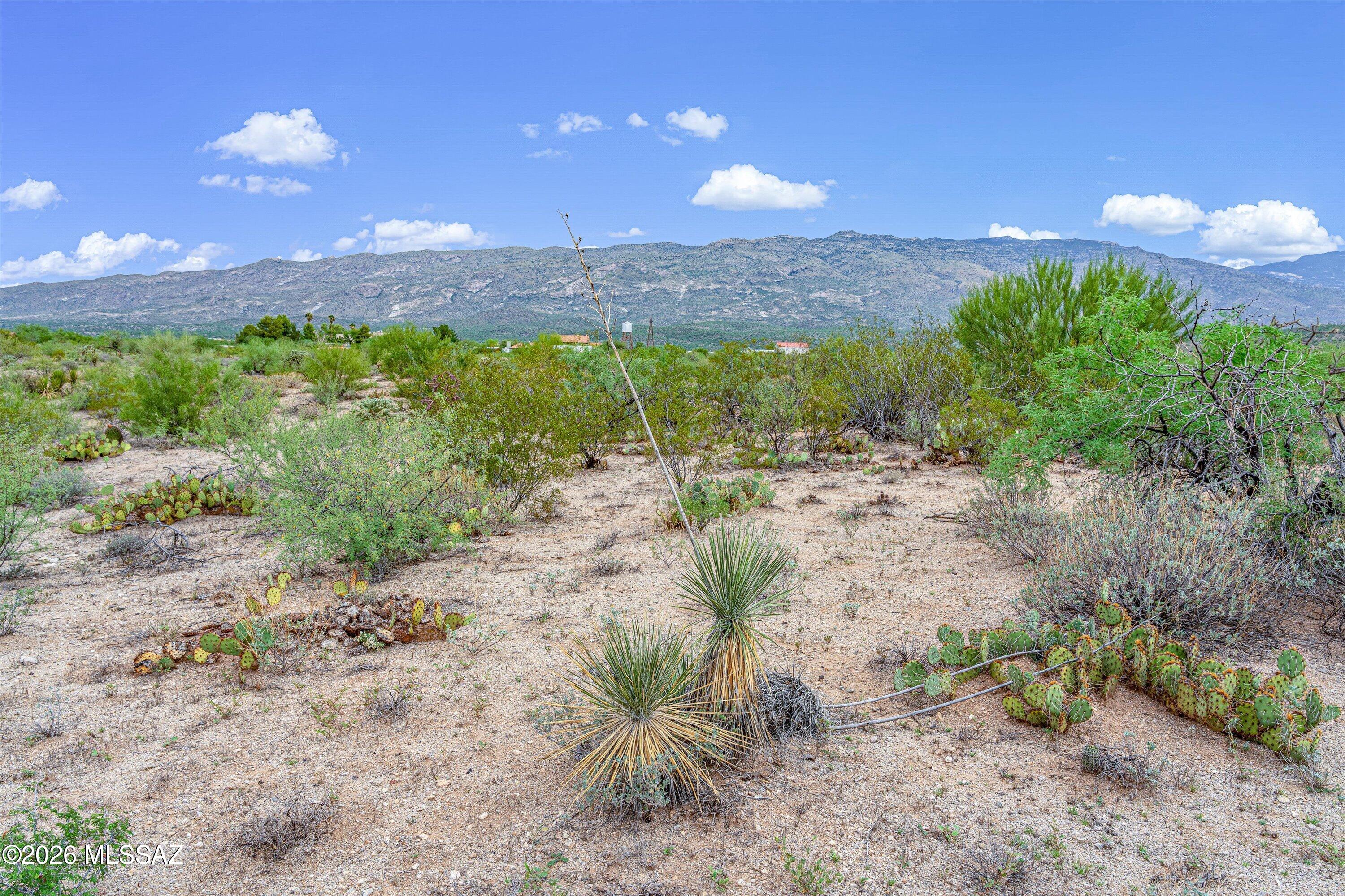 Coyote Creek (1-395) - Land