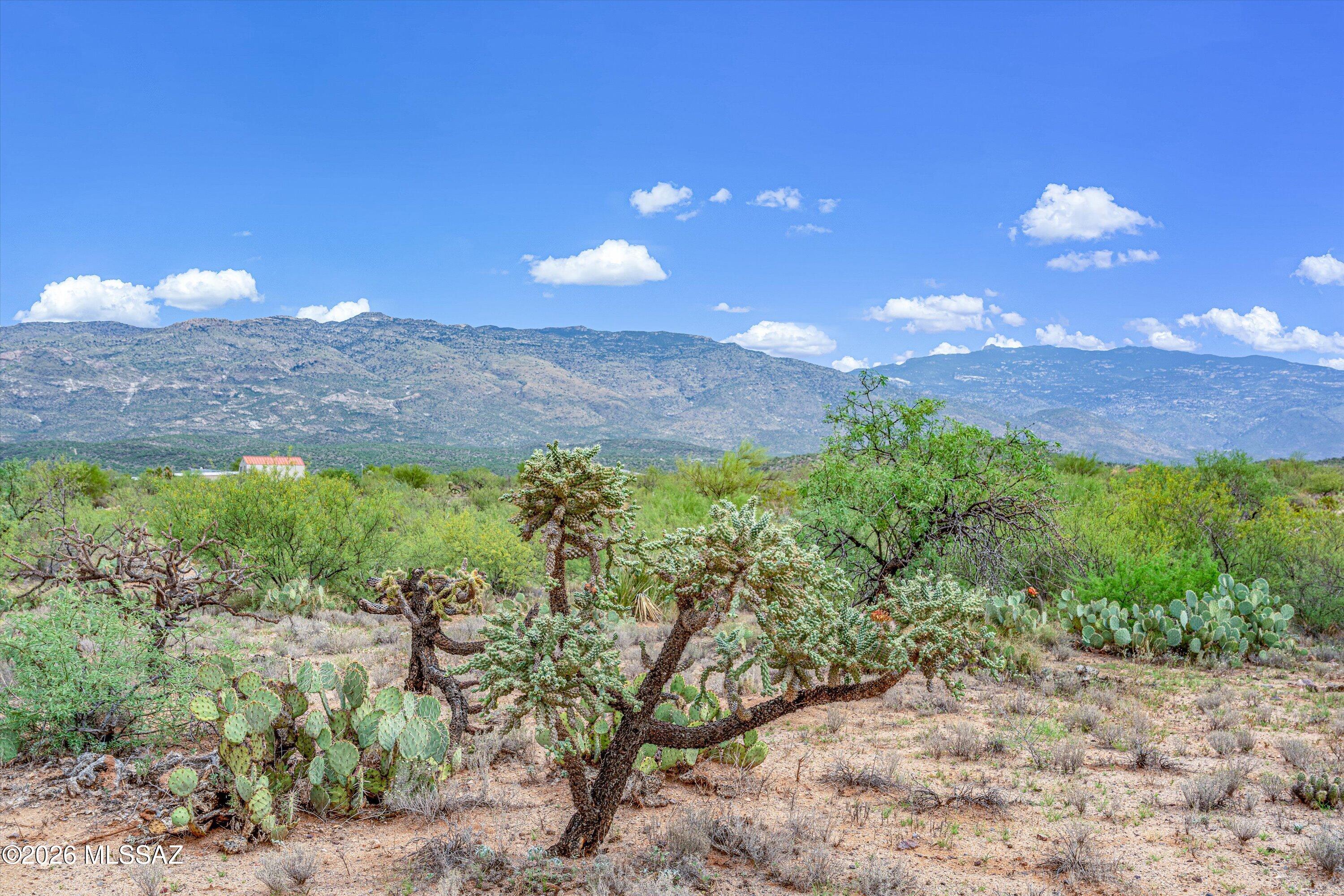Coyote Creek (1-395) - Land