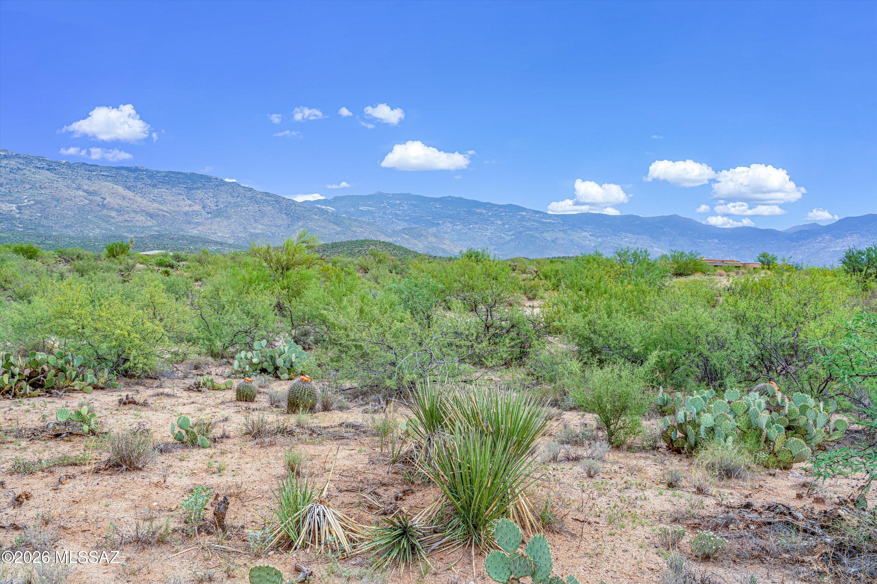 Coyote Creek (1-395) - Land