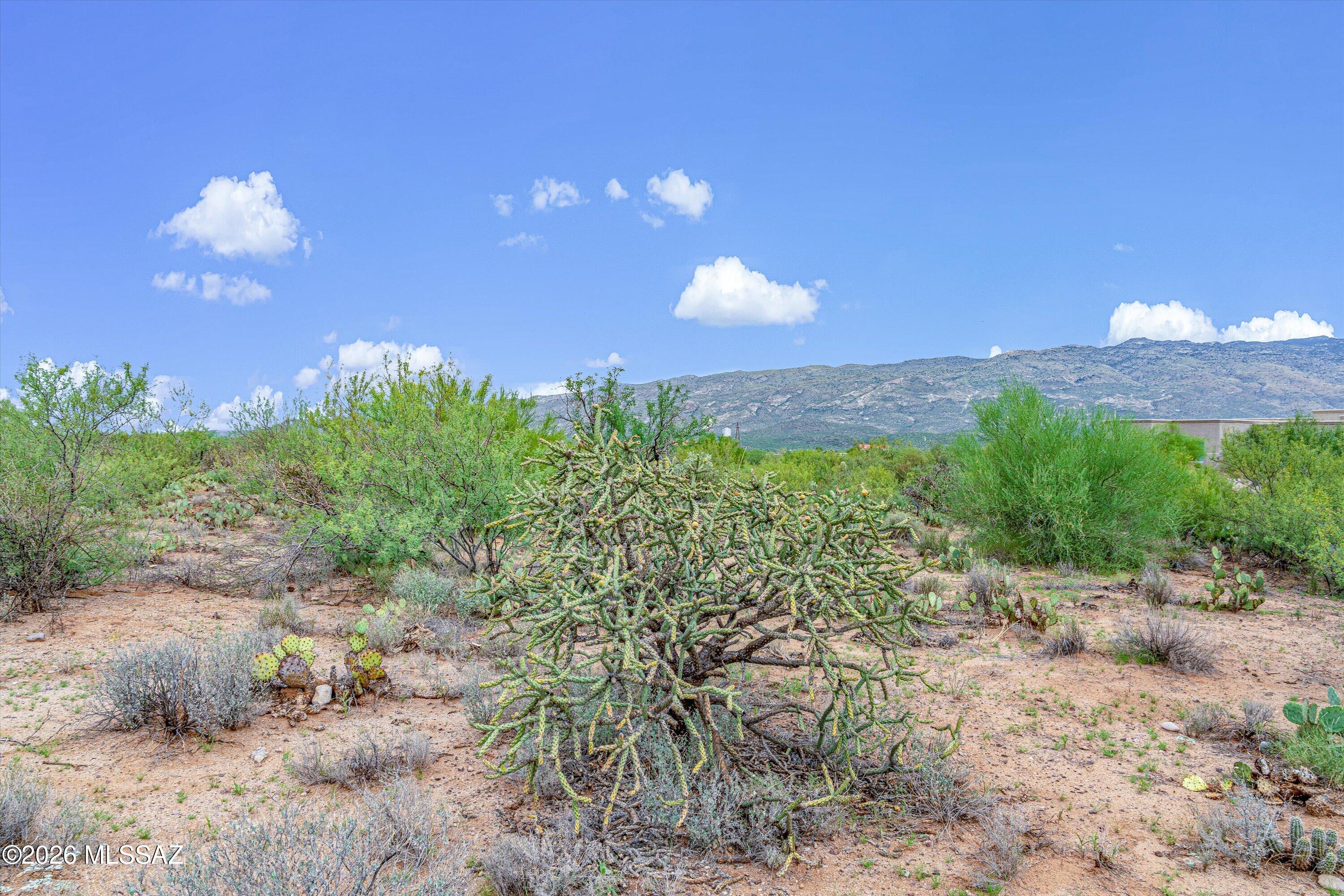 Coyote Creek (1-395) - Land