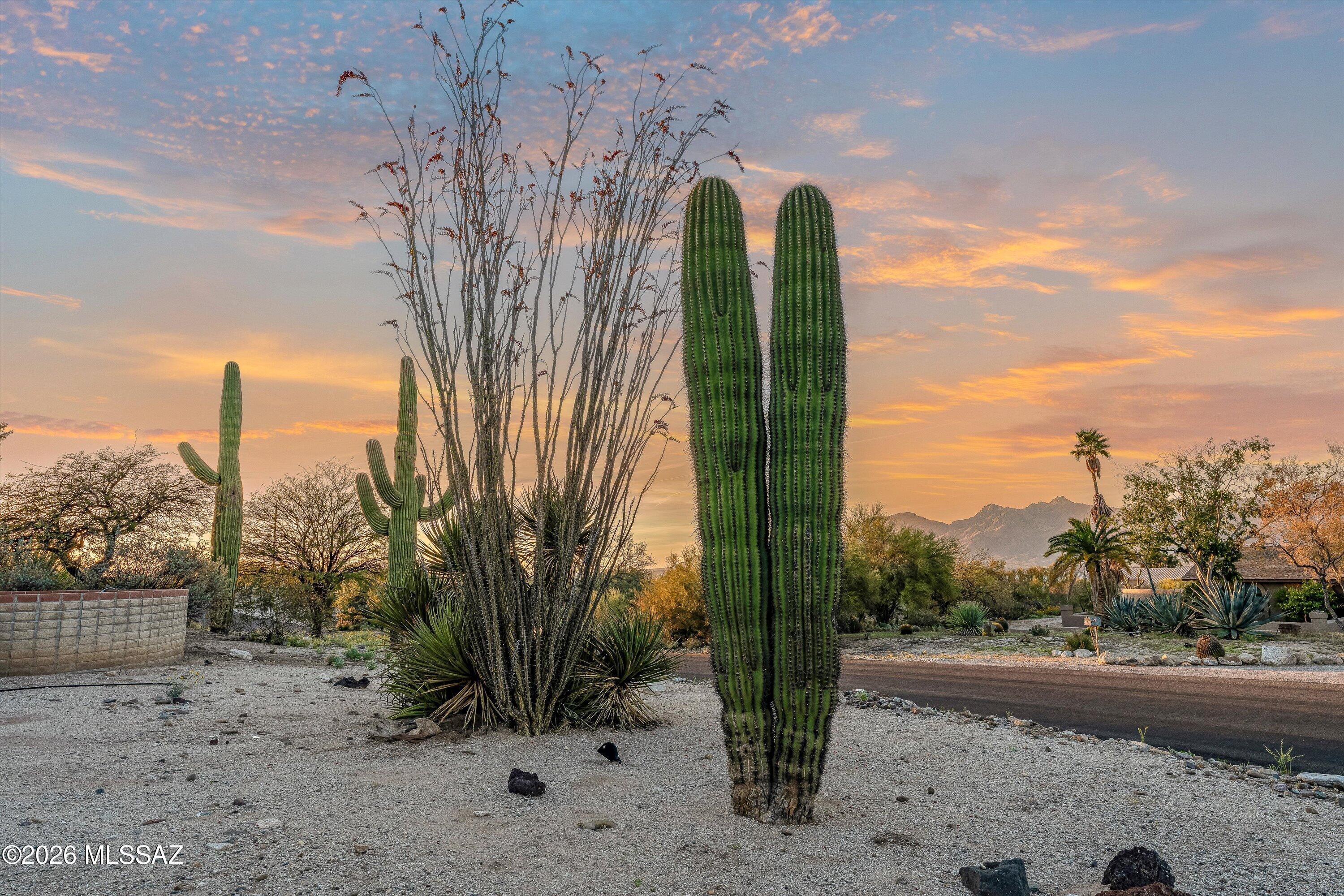Desert Trails (1-68) - Residential