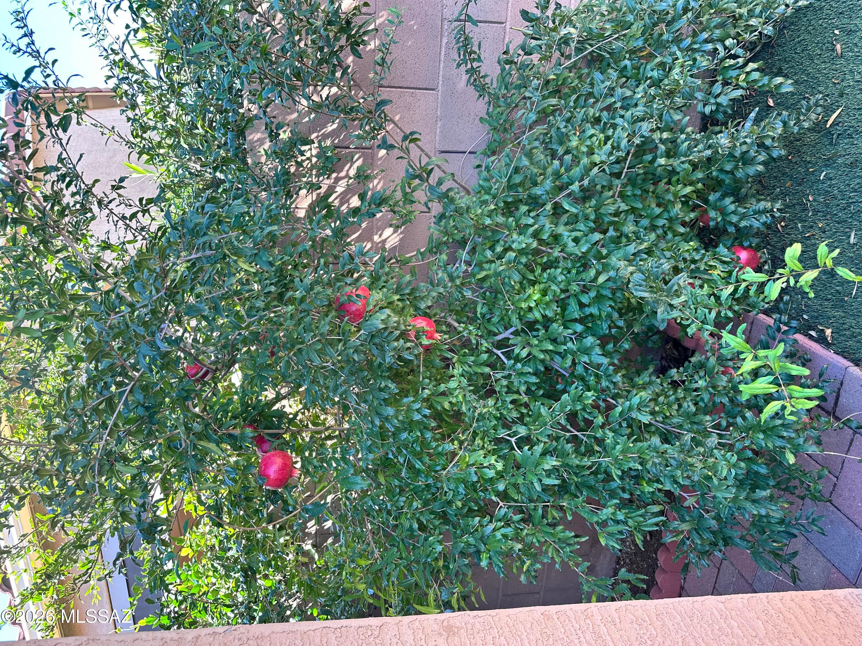 Harrison Del Sol (1-161) - Residential