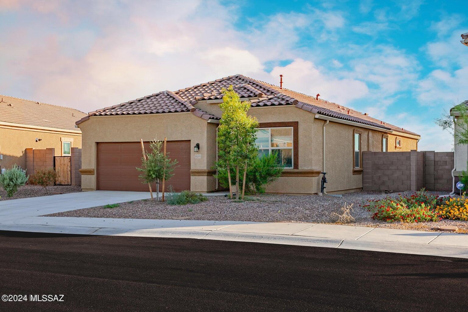 Saguaro Bloom SQ20180540069 - Residential
