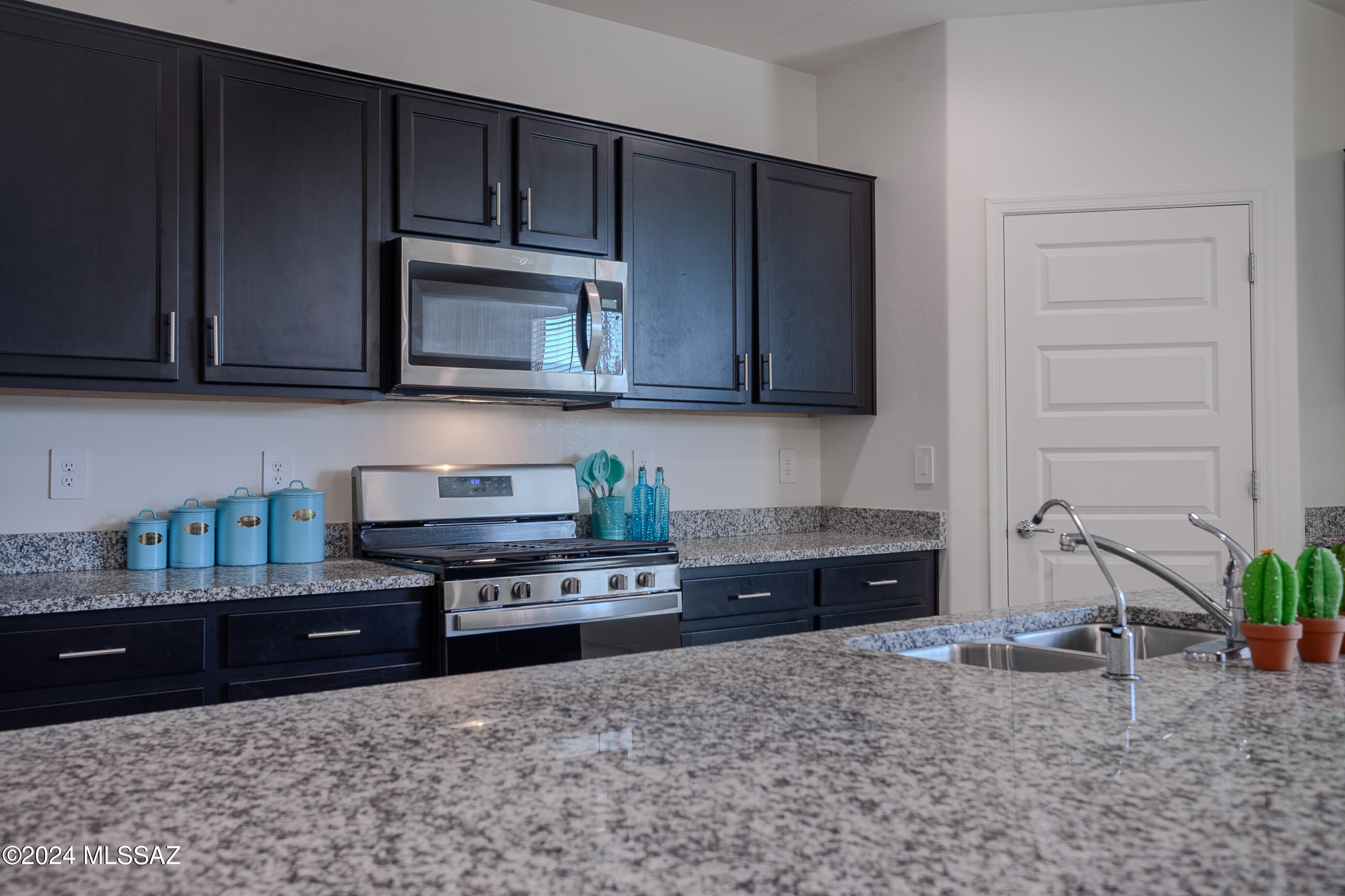 Saguaro Bloom SQ20180540069 - Residential