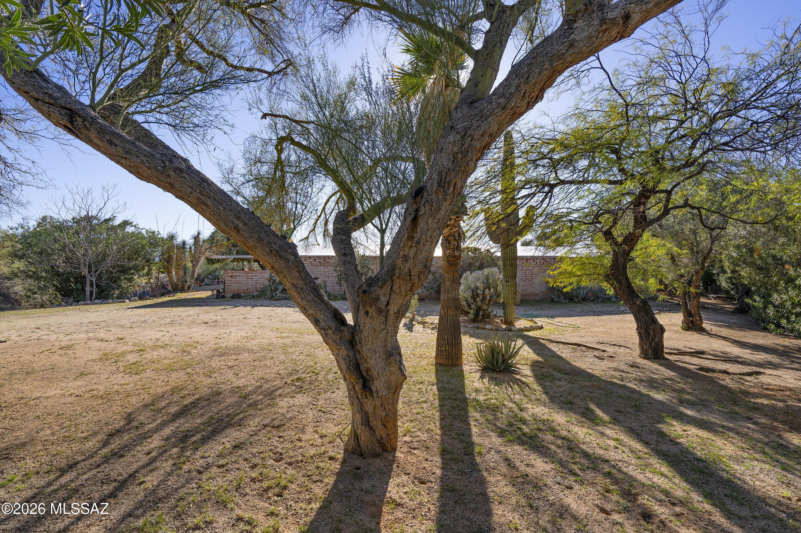 Casas Adobes Estates (401-447) - Residential