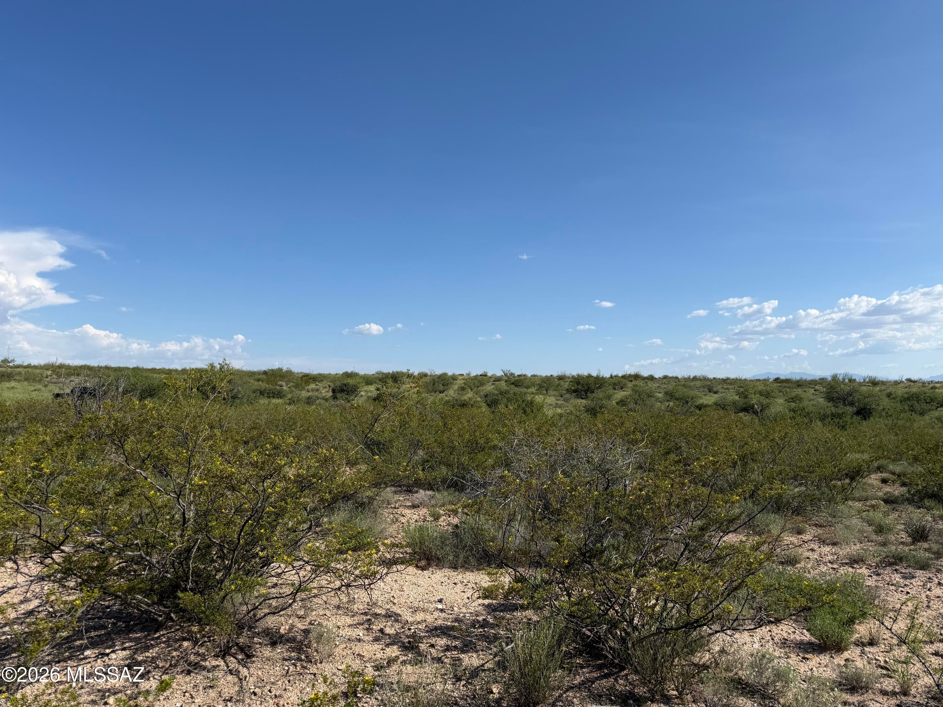 Dragoon Mountain Ranch - Land