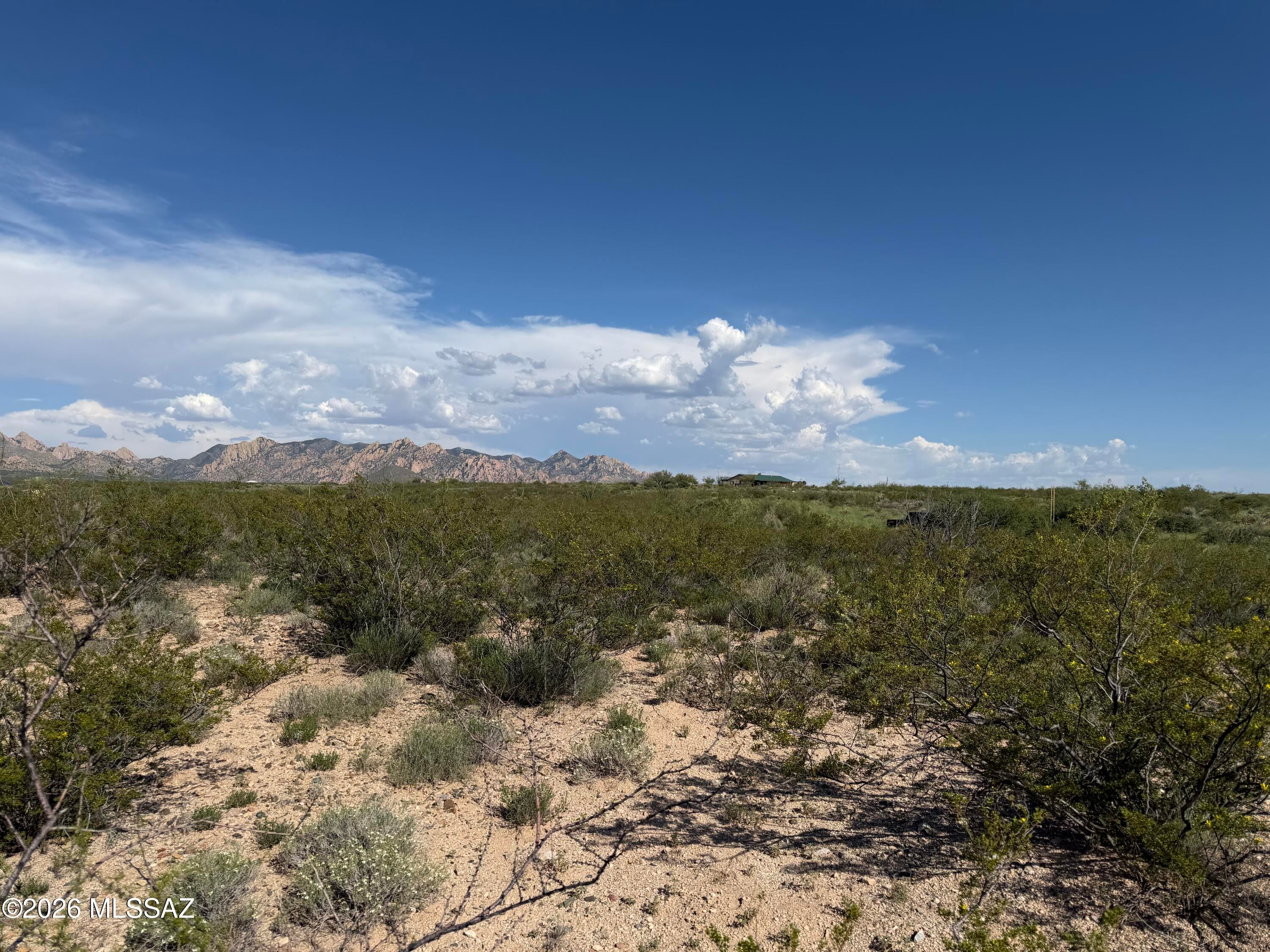 Dragoon Mountain Ranch - Land