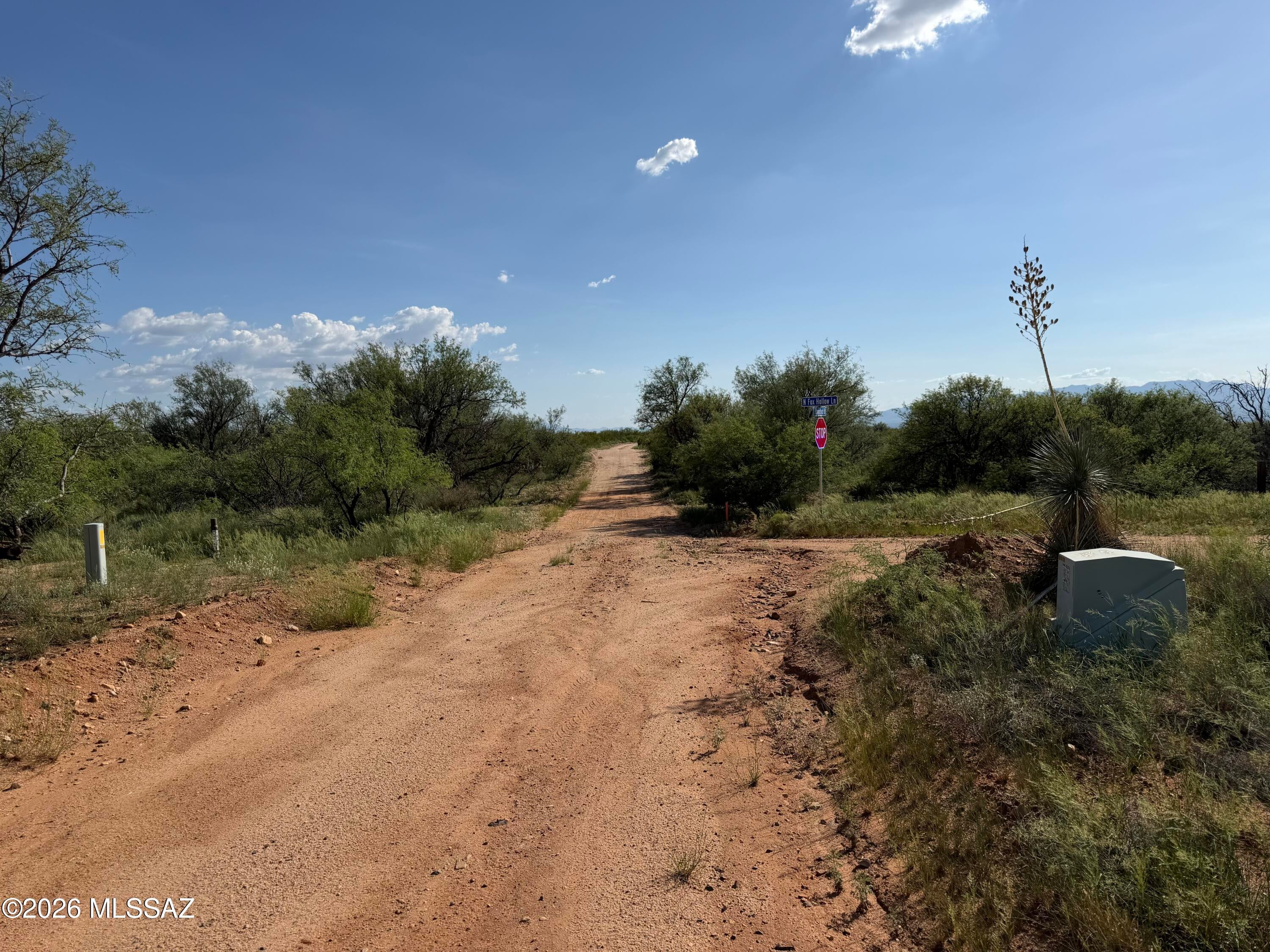Dragoon Mountain Ranch - Land