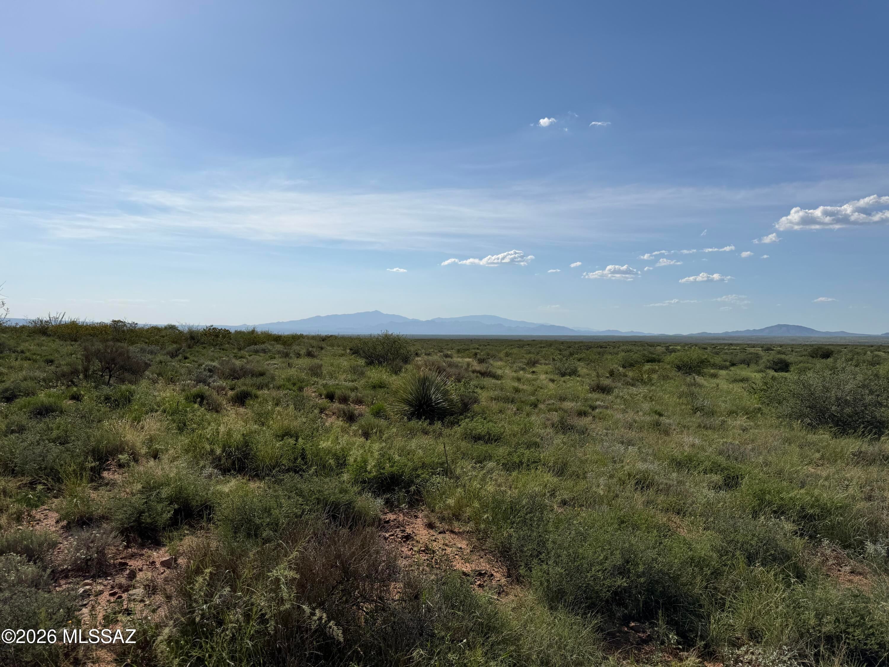 Dragoon Mountain Ranch - Land