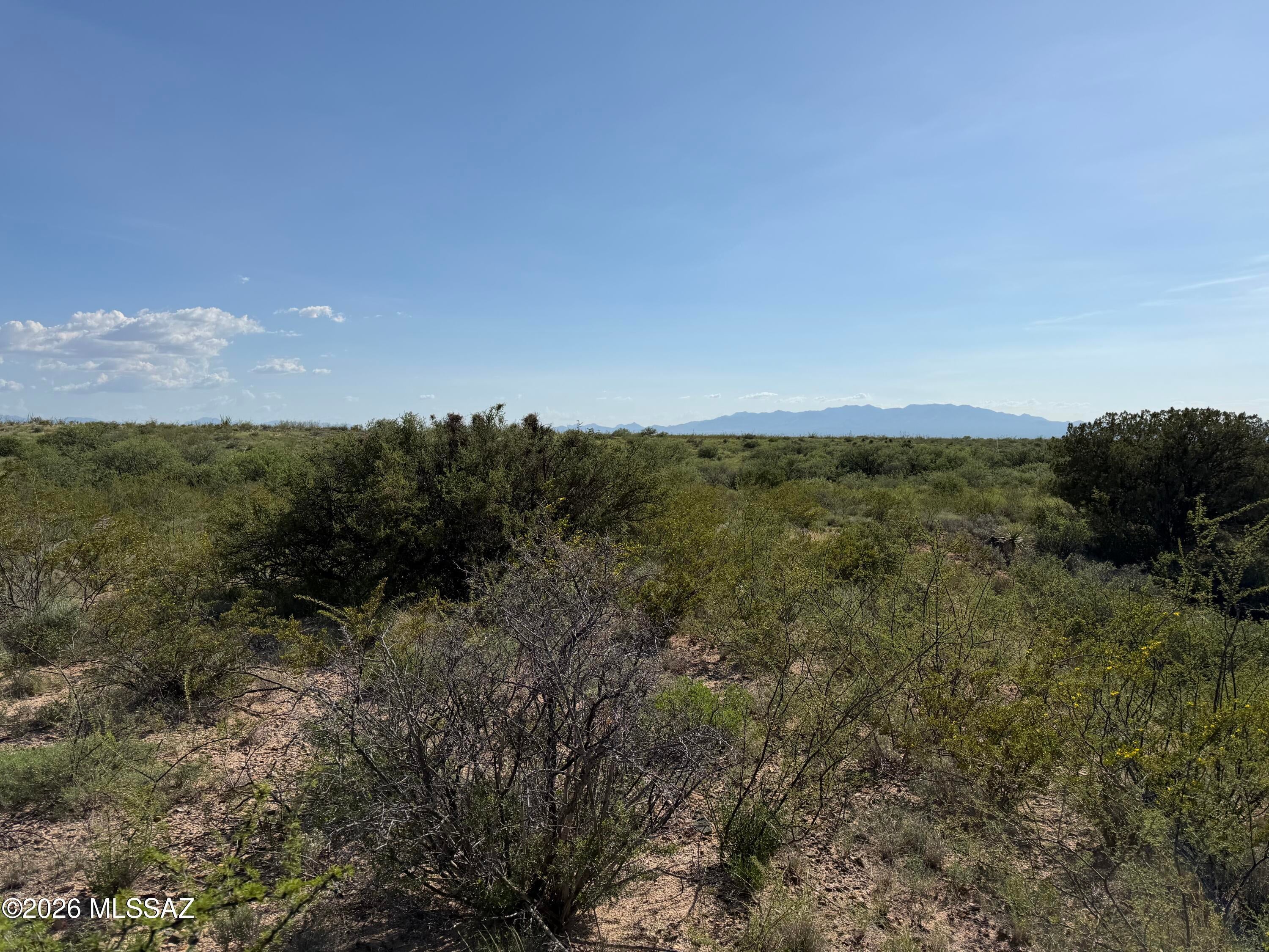 Dragoon Mountain Ranch - Land