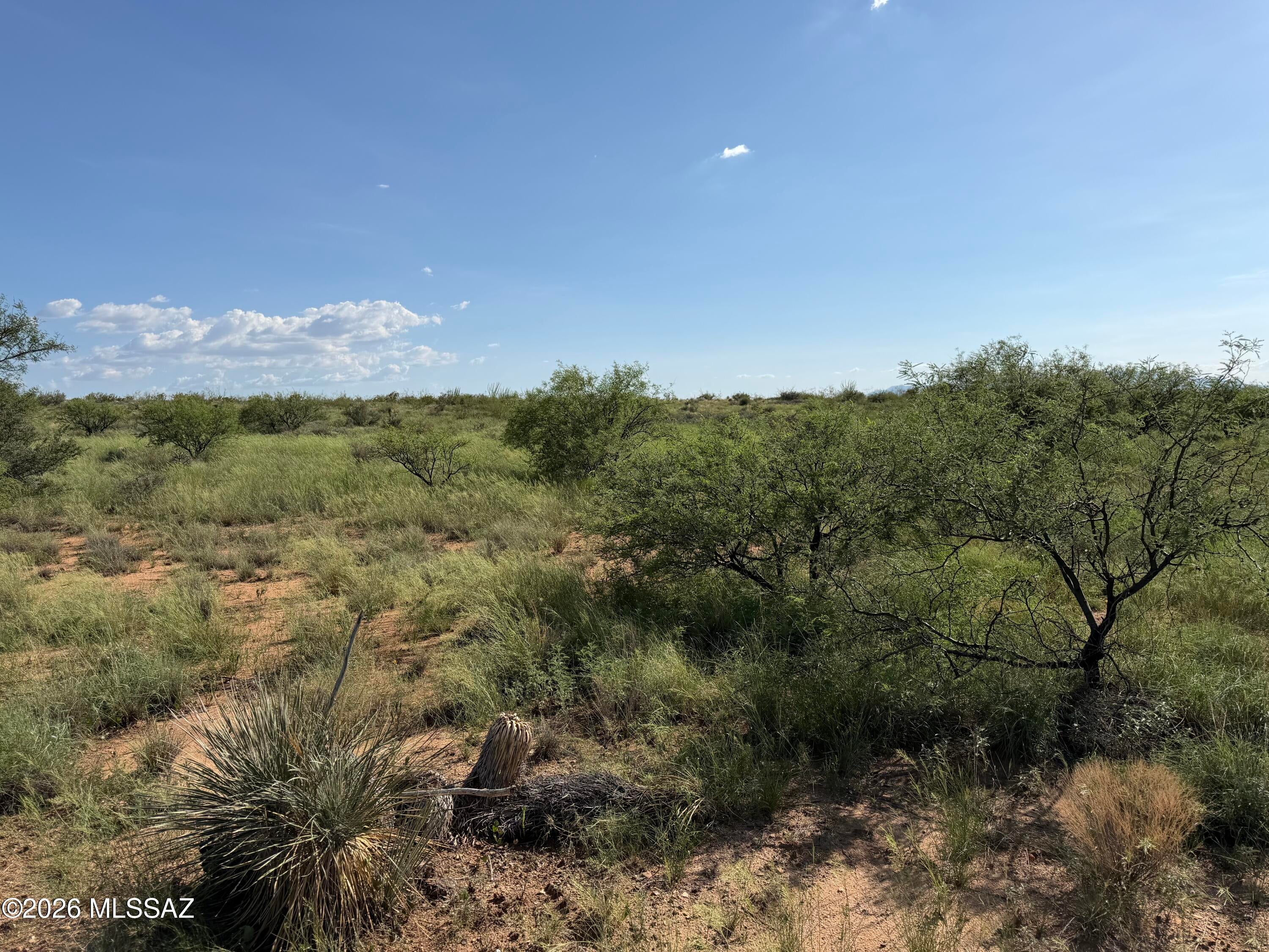 Dragoon Mountain Ranch - Land