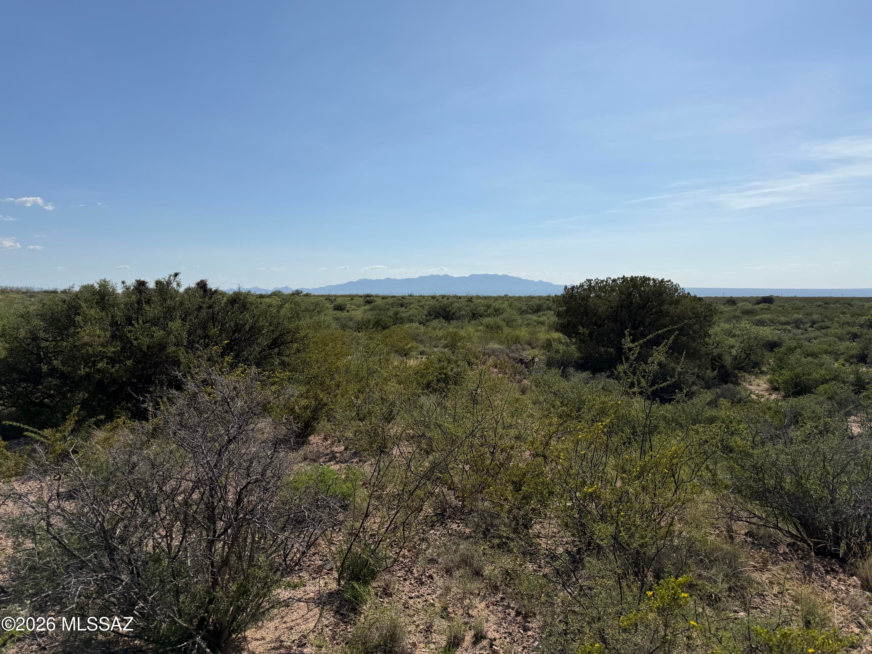 Dragoon Mountain Ranch - Land