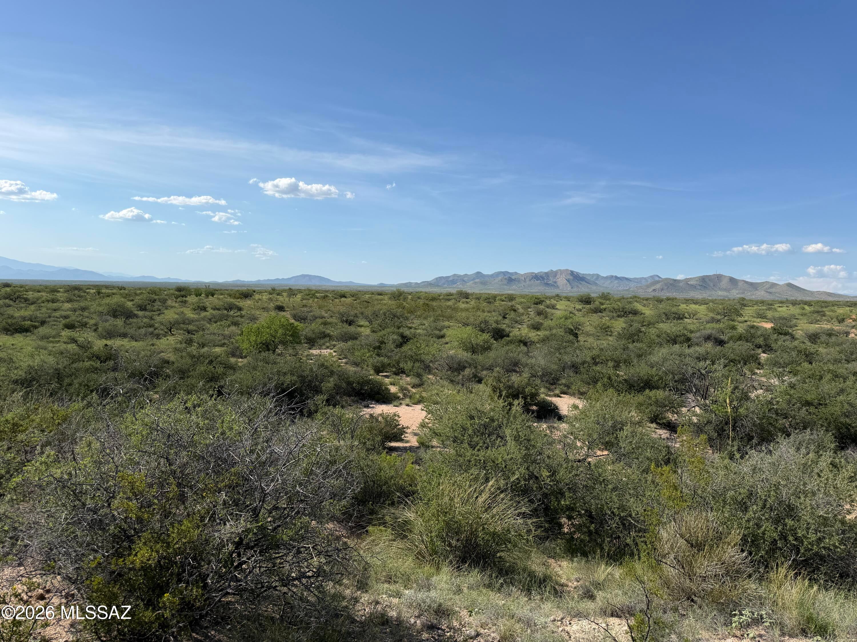 Dragoon Mountain Ranch - Land