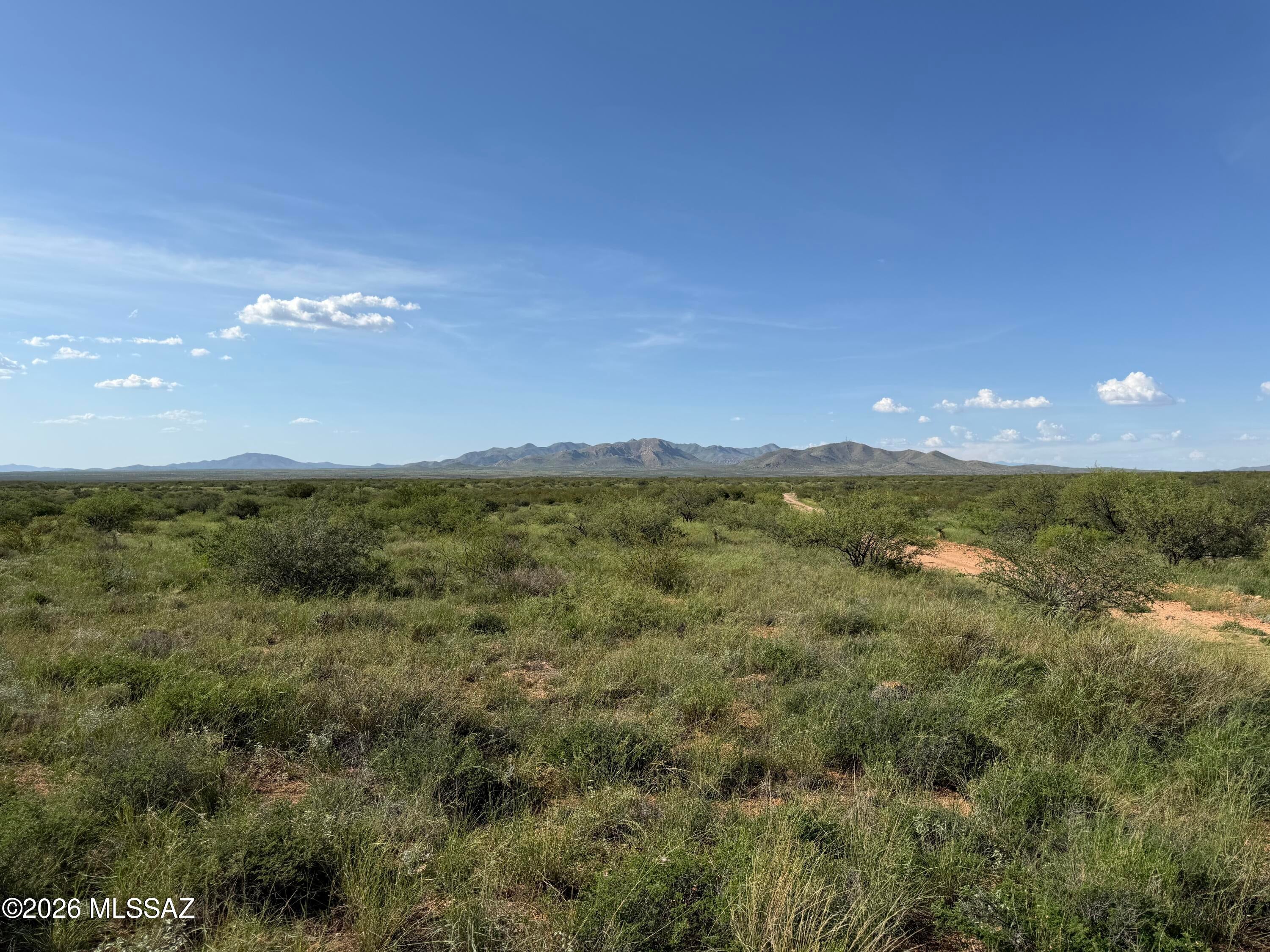 Dragoon Mountain Ranch - Land