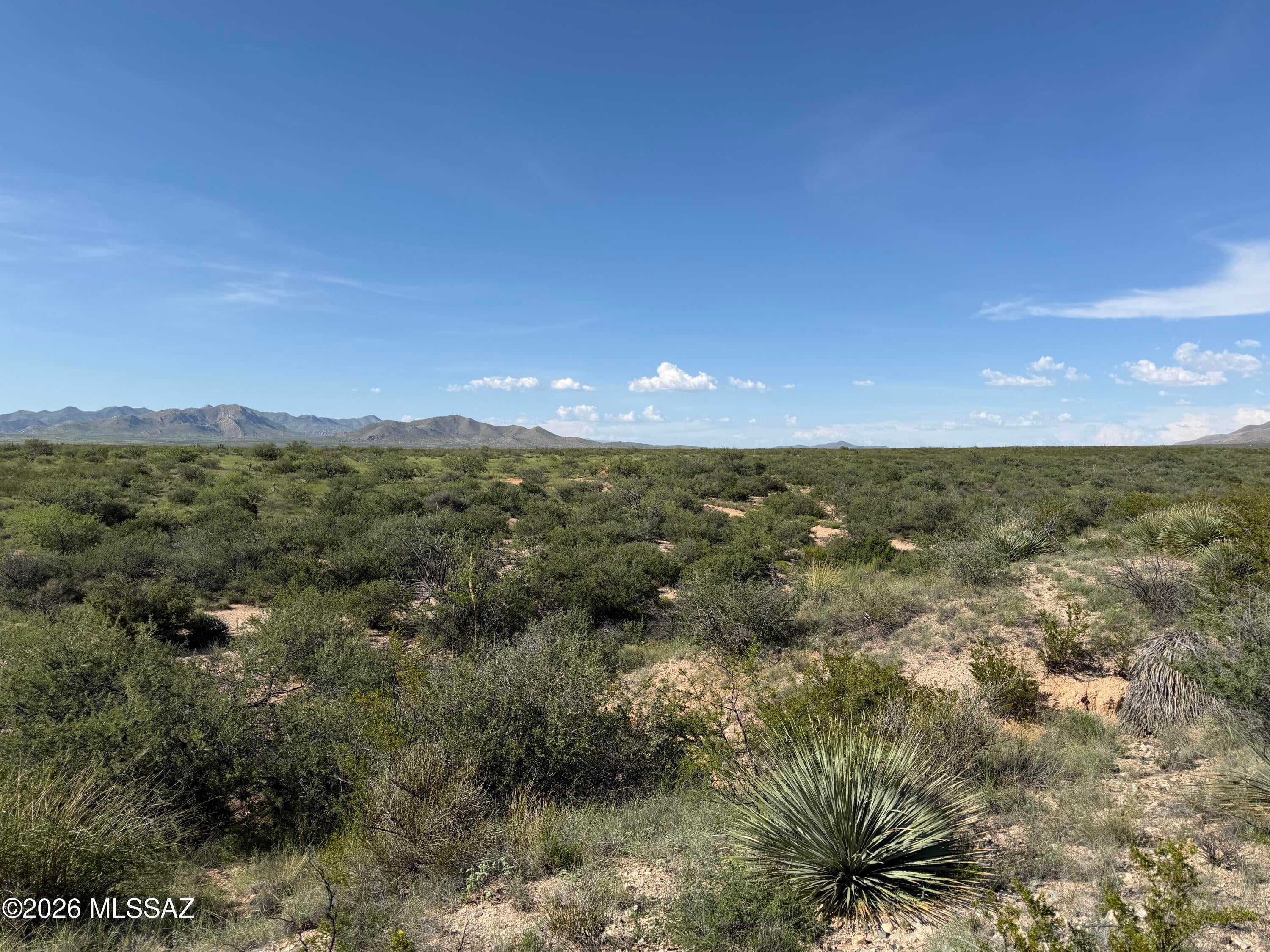 Dragoon Mountain Ranch - Land