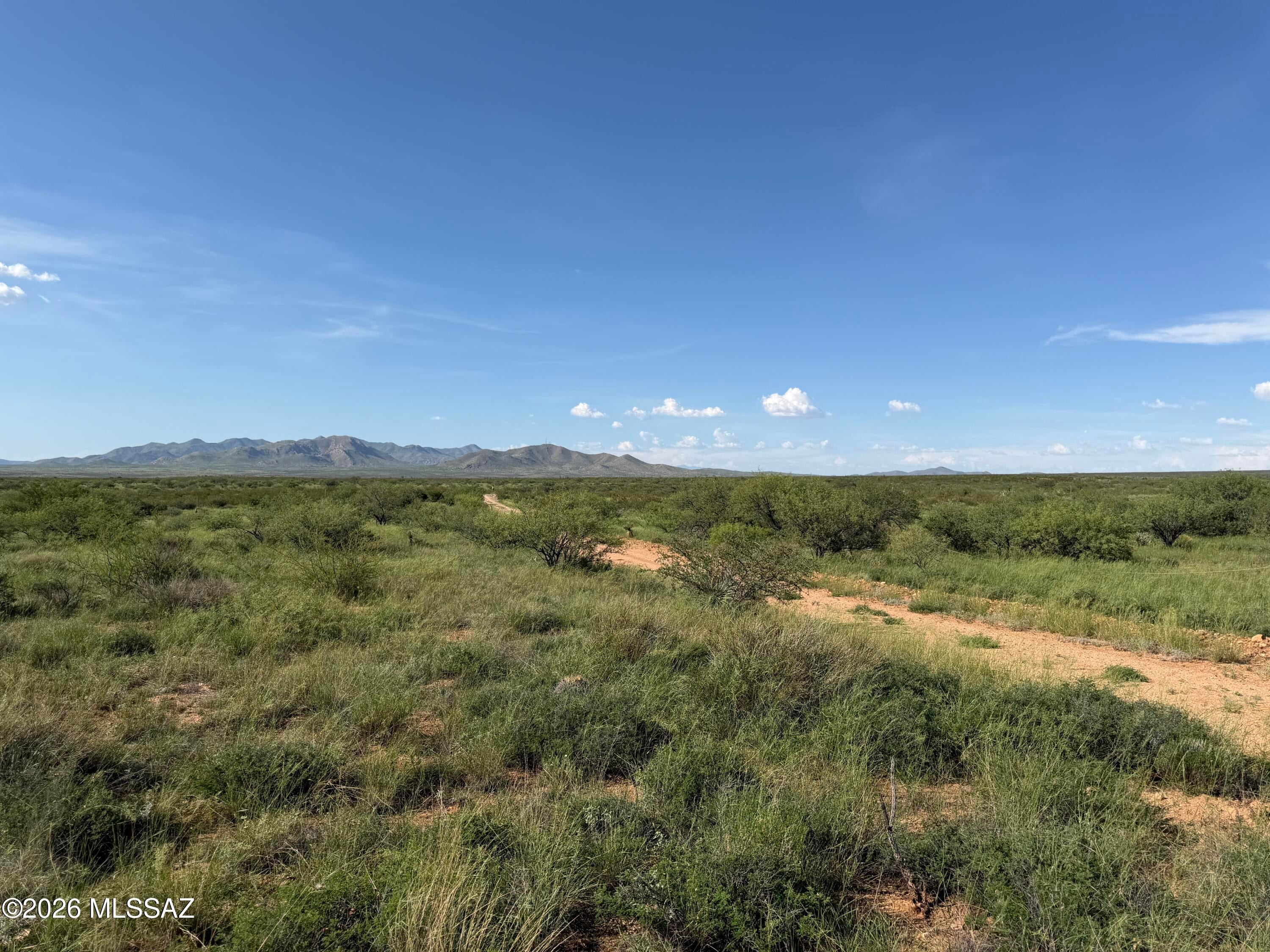 Dragoon Mountain Ranch - Land