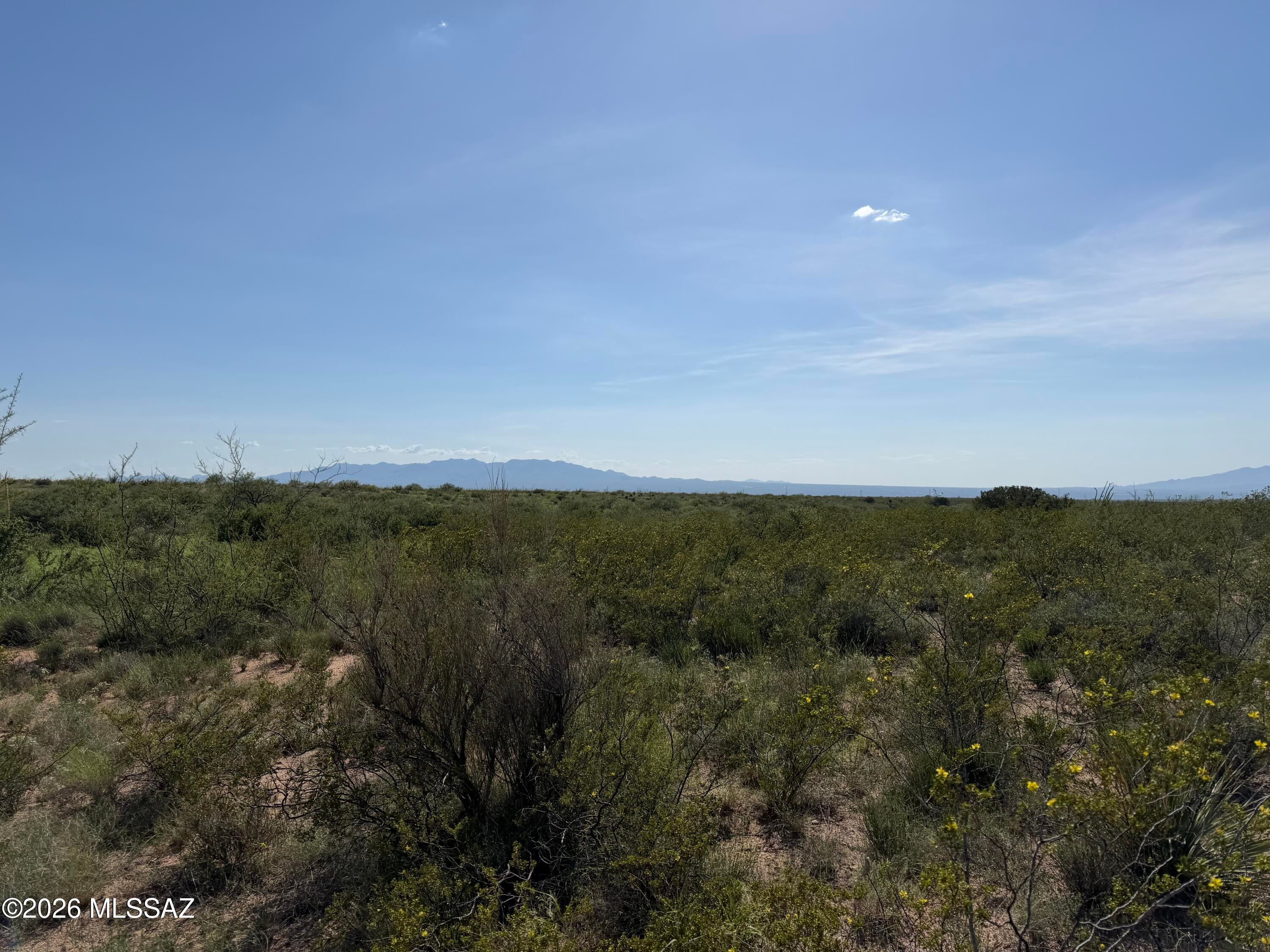 Dragoon Mountain Ranch - Land