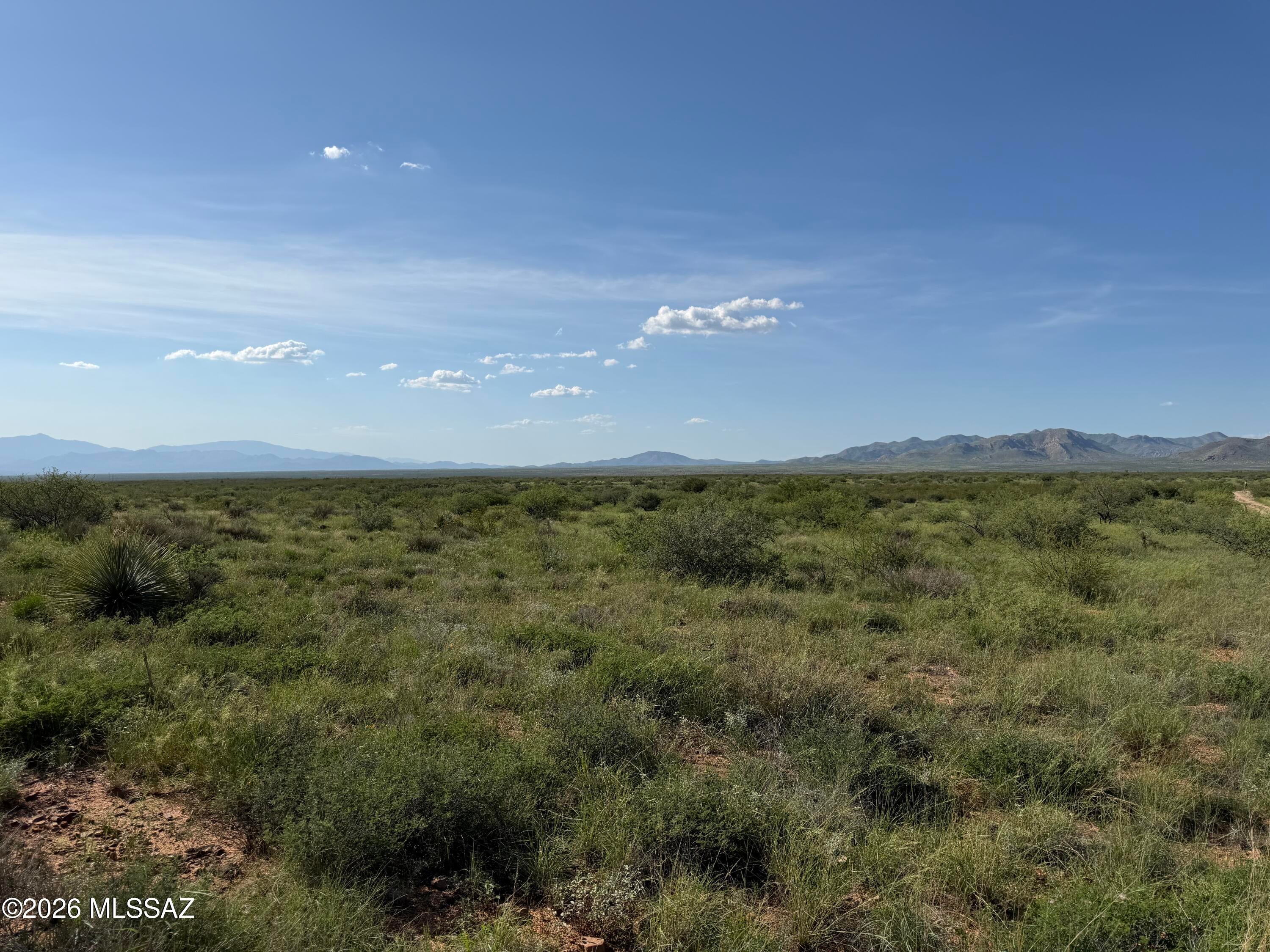 Dragoon Mountain Ranch - Land