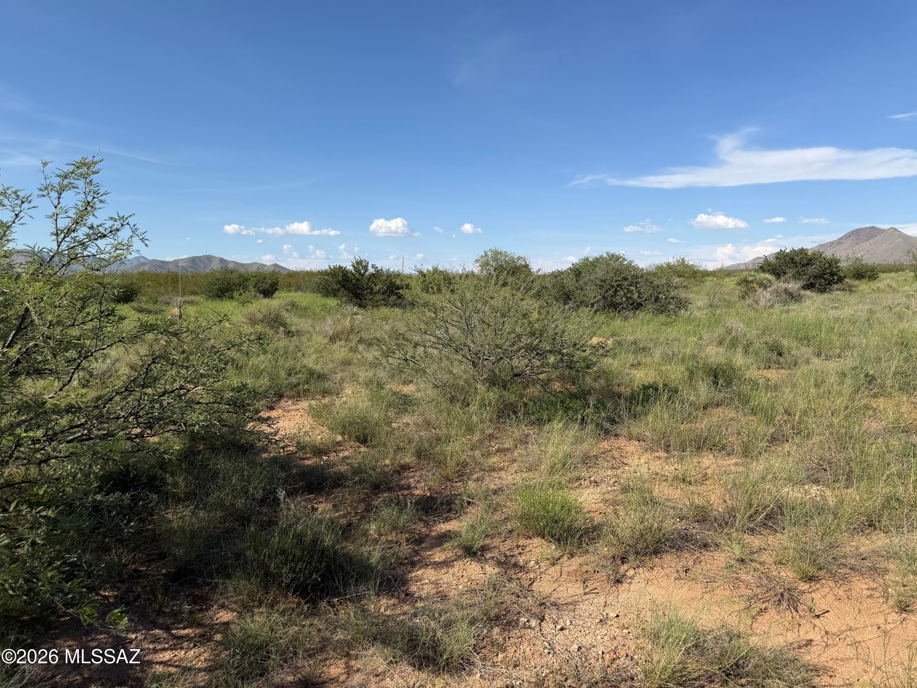 Dragoon Mountain Ranch - Land