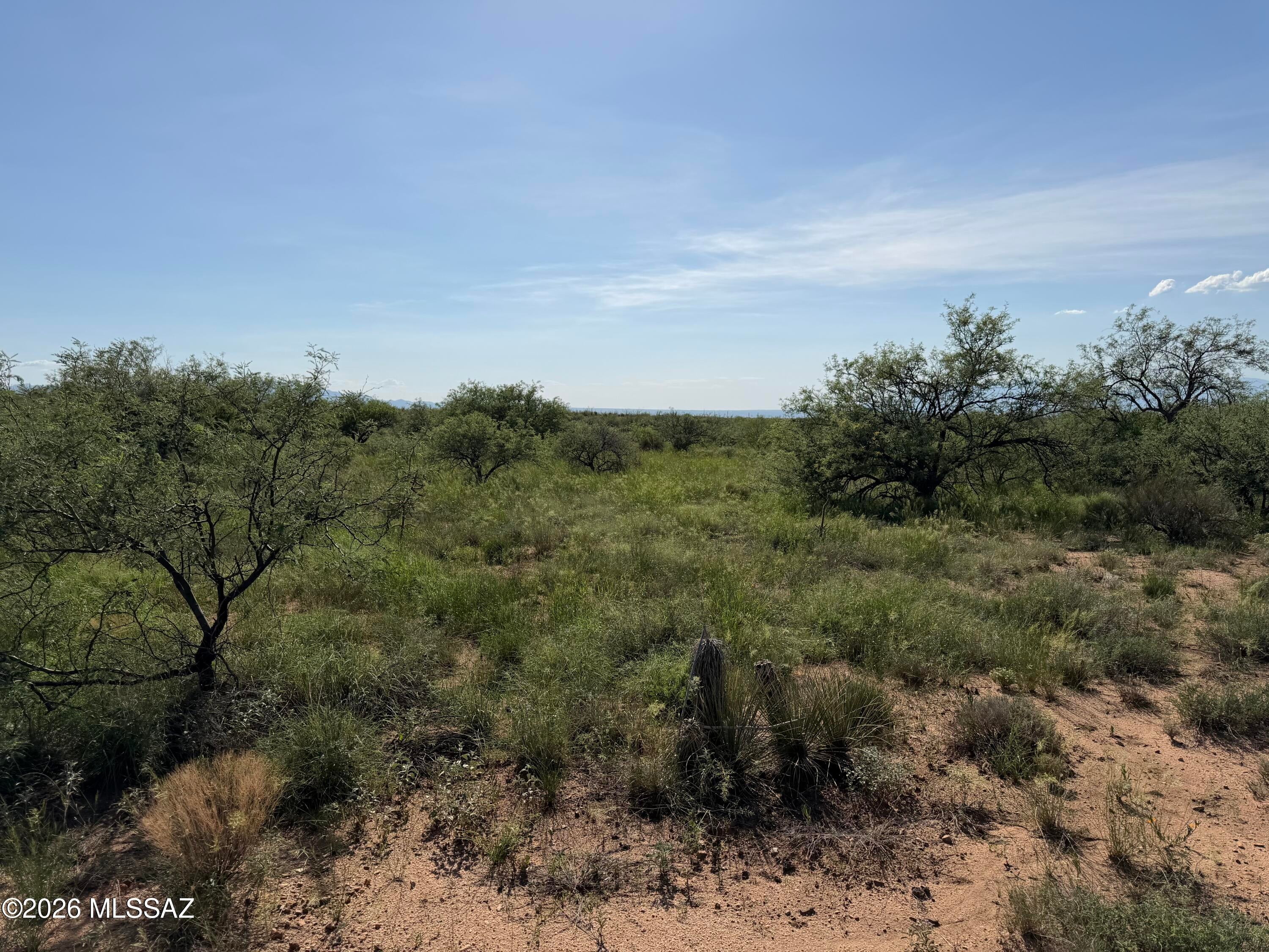 Dragoon Mountain Ranch - Land