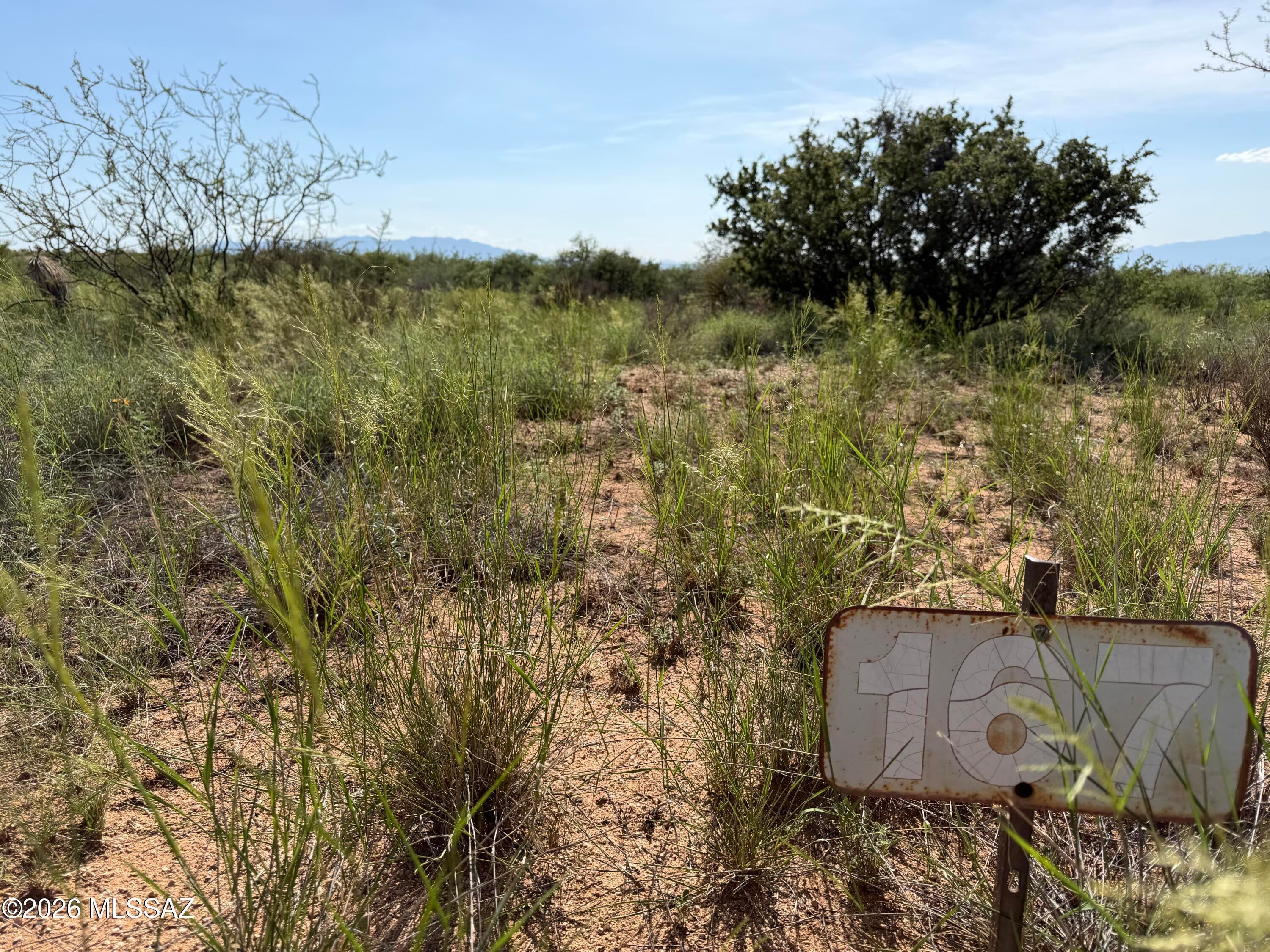 Dragoon Mountain Ranch - Land