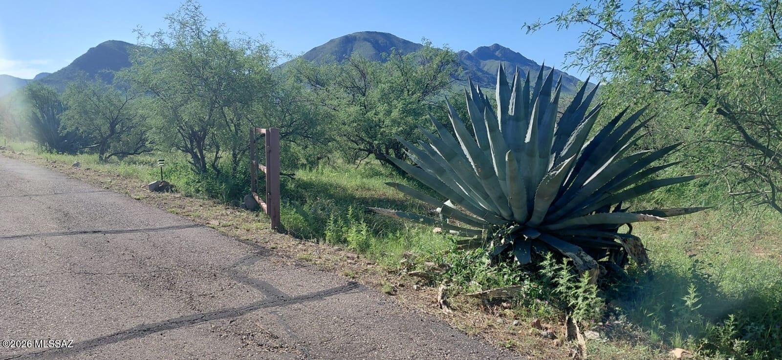 Rio Rico Villas 12 - Land