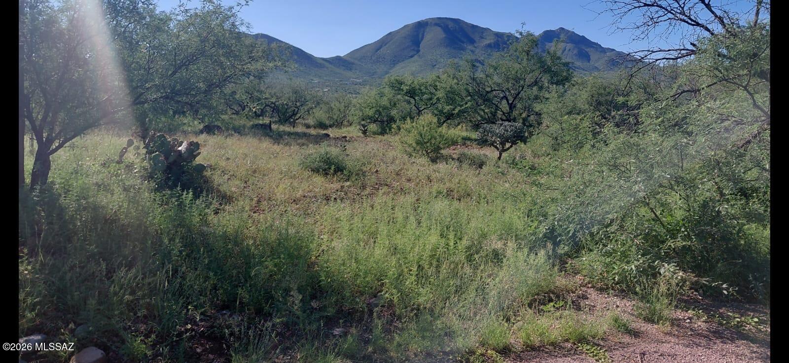 Rio Rico Villas 12 - Land