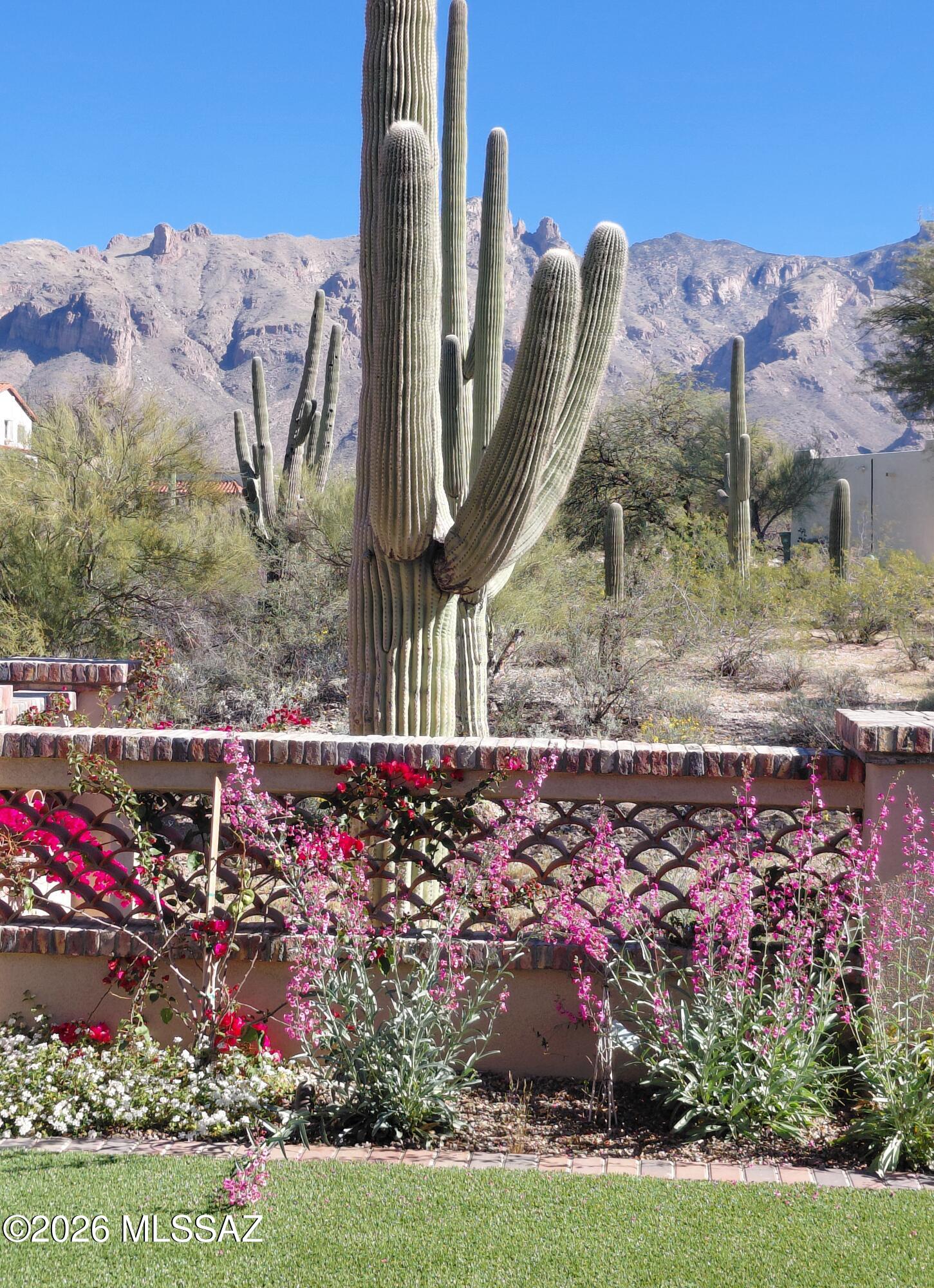 Catalina Foothills Estates 6 Th - Residential