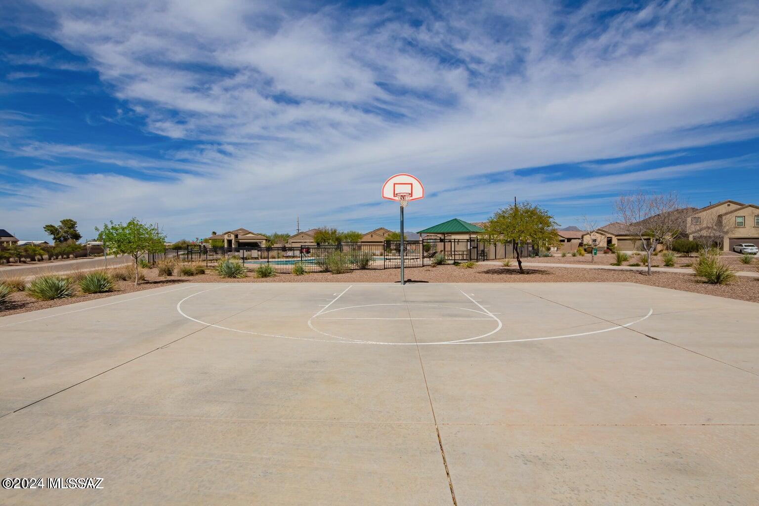 Saguaro Bloom SQ20180540069 - Residential